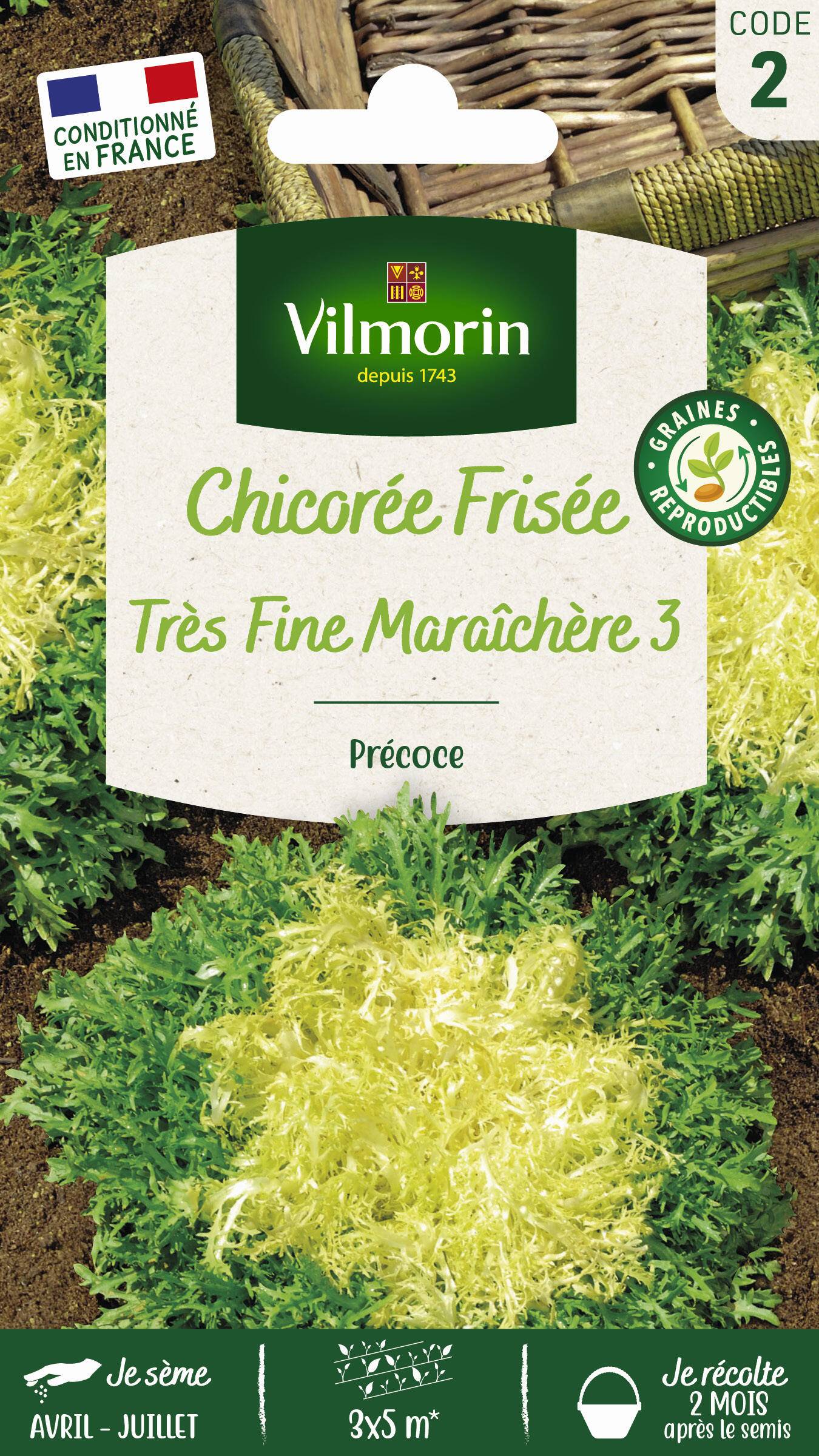 Vilmorin - Chicorée frisée très fine maraichère 3 série 2 sachet graines 4 g - Vilmorin - Image 2
