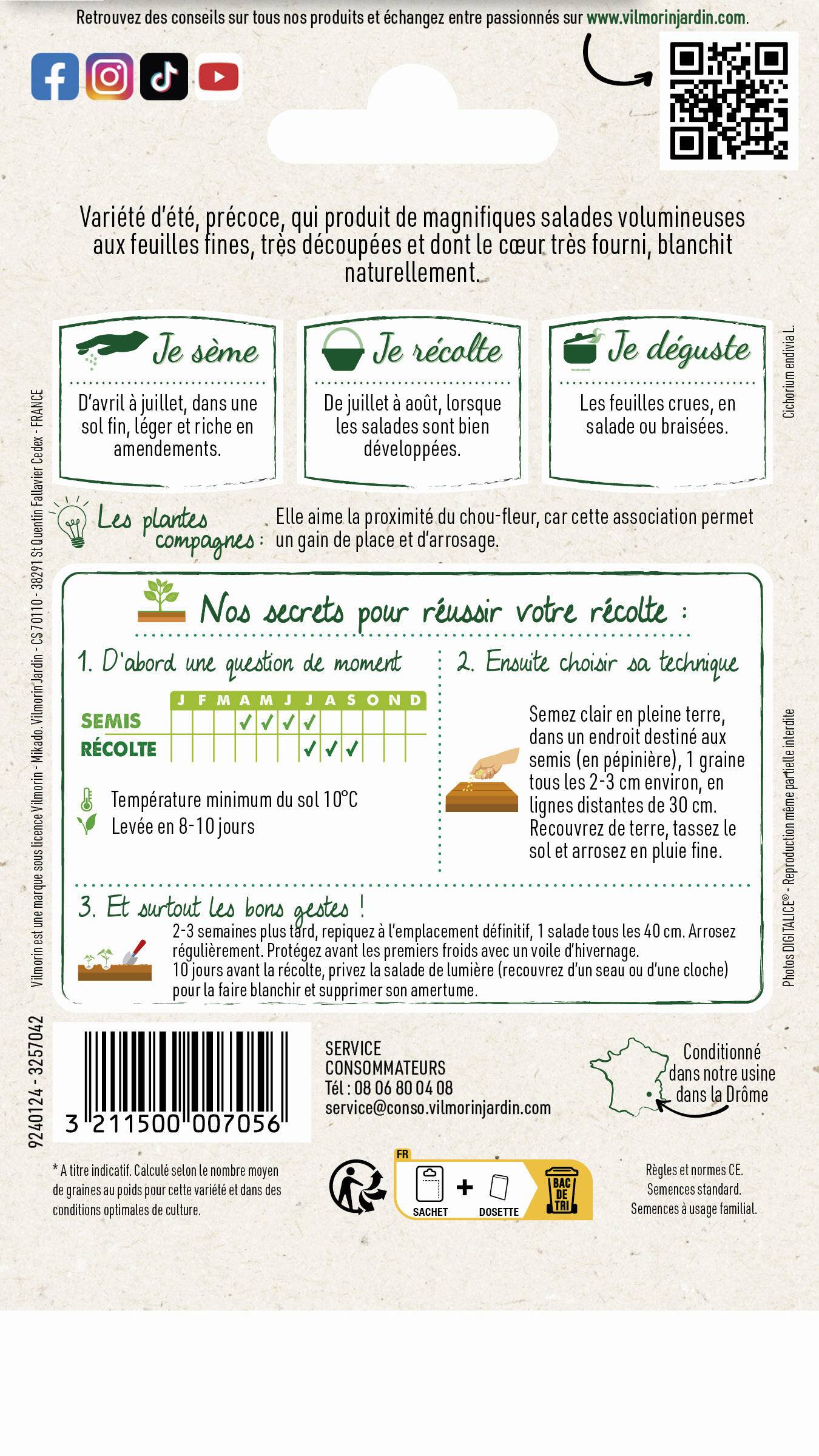 Vilmorin - Chicorée frisée très fine maraichère 3 série 2 sachet graines 4 g - Vilmorin - Image 4