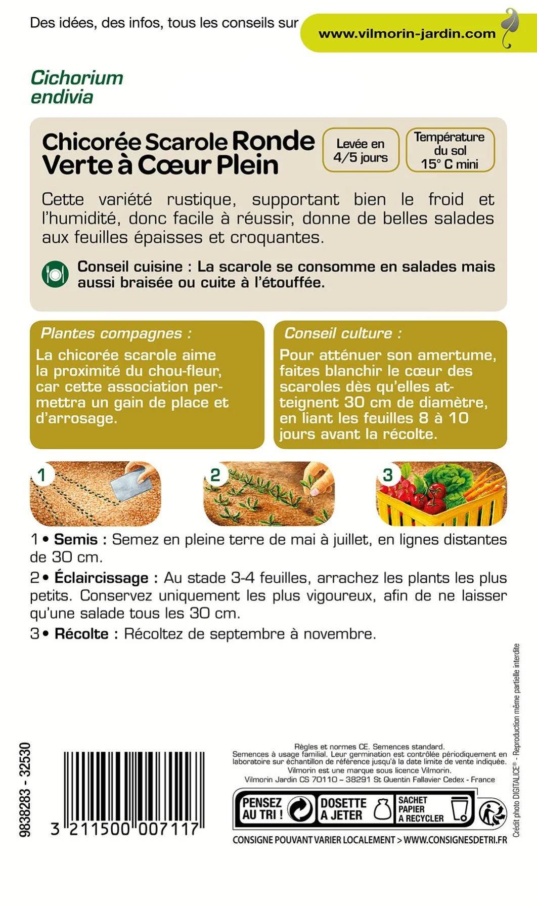 Vilmorin - Chicorée scarole ronde verte a cœur plein + échantillon scarole maruchka série 1 sachet graines 4 g - Image 3
