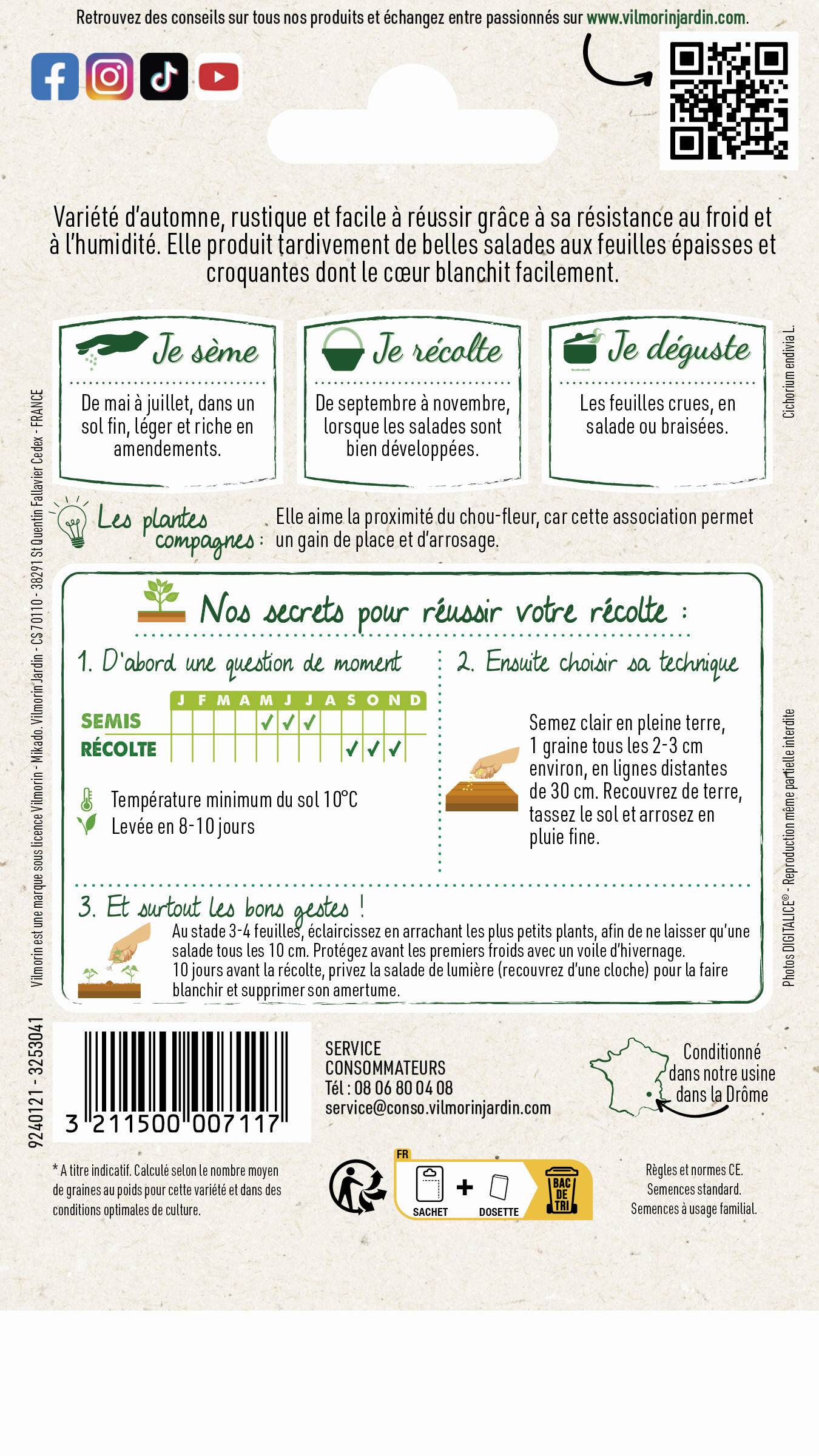 Vilmorin - Chicorée scarole ronde verte a cœur plein + échantillon scarole maruchka série 1 sachet graines 4 g - Image 4