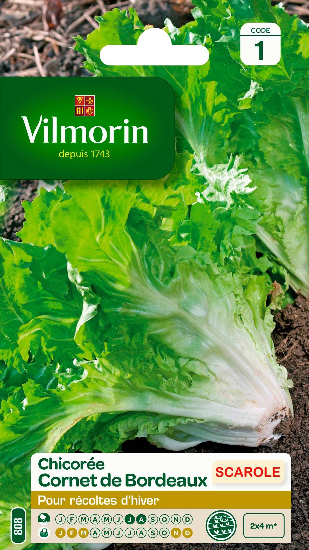 Vilmorin - Chicorée scarole cornet de Bordeaux série 1 sachet graines 4 g - Vilmorin