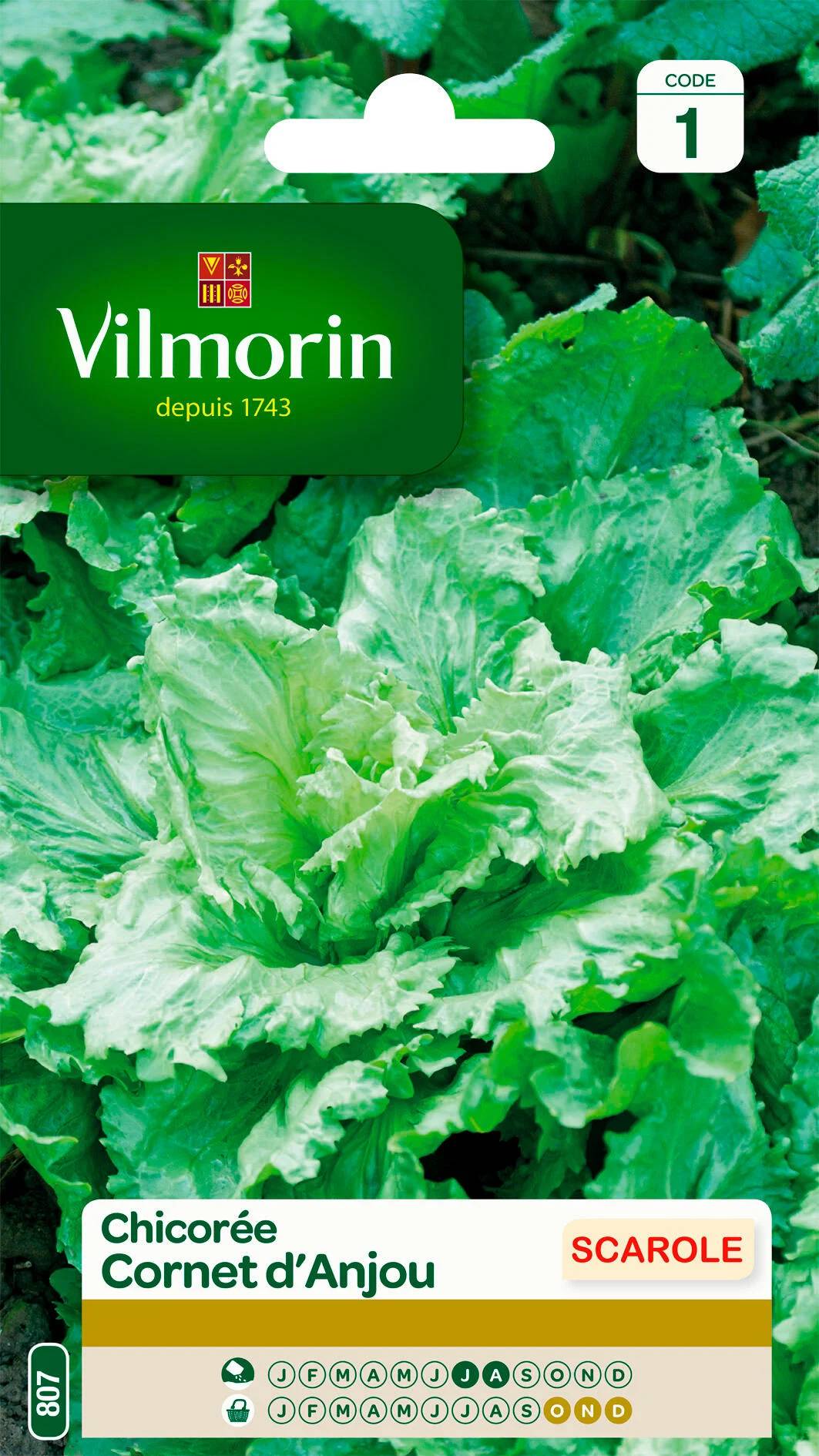 Vilmorin - Chicorée scarole cornet d'Anjou série 1 sachet graines 4 g - Vilmorin