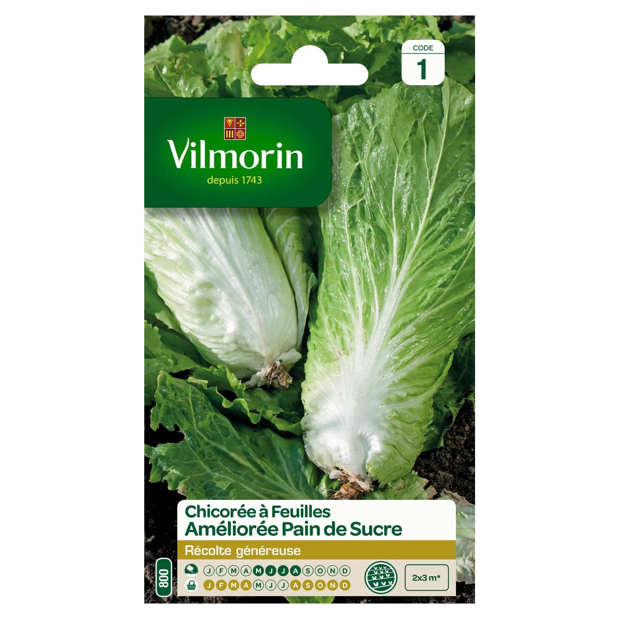 Vilmorin - Chicorée à larges feuilles améliorée pain de sucre série 1 sachet graines 4 g - Vilmorin