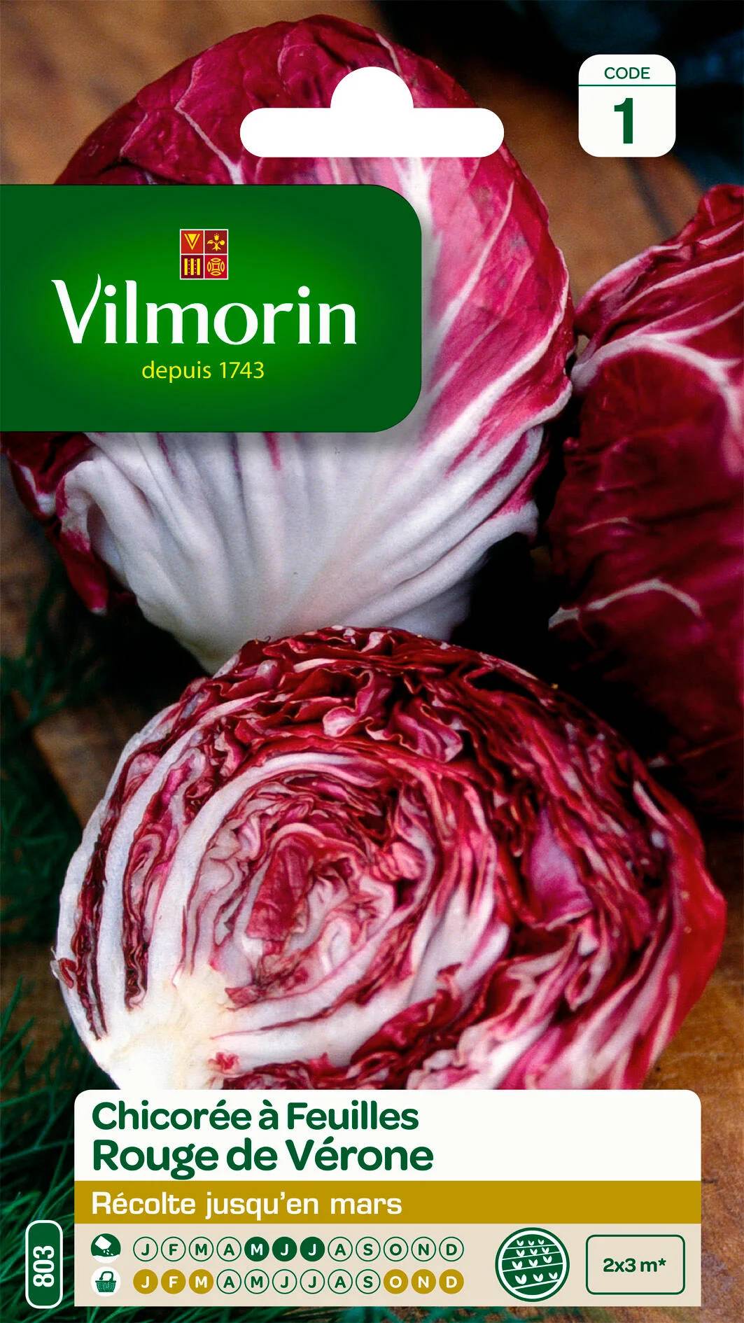 Vilmorin - Chicorée à larges feuilles rouge de Vérone série 1 sachet graines 4 g - Vilmorin