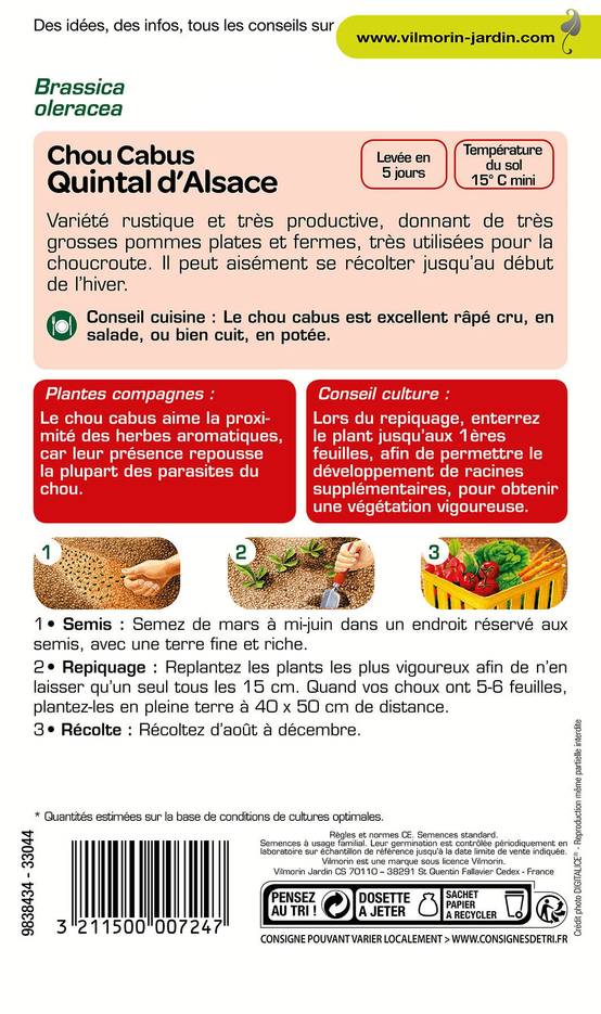 Vilmorin - Chou pommé quintal d'Alsace série 1 sachet graines 2 g - Vilmorin - Image 3