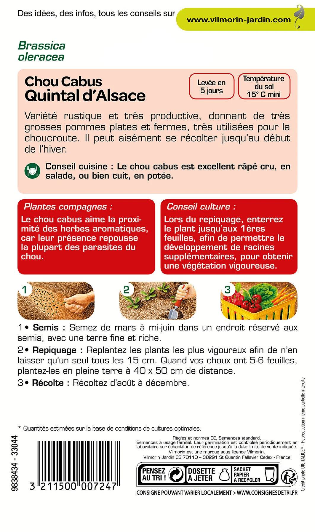 Vilmorin - Chou pommé quintal d'Alsace série 1 sachet graines 2 g - Vilmorin - Image 3