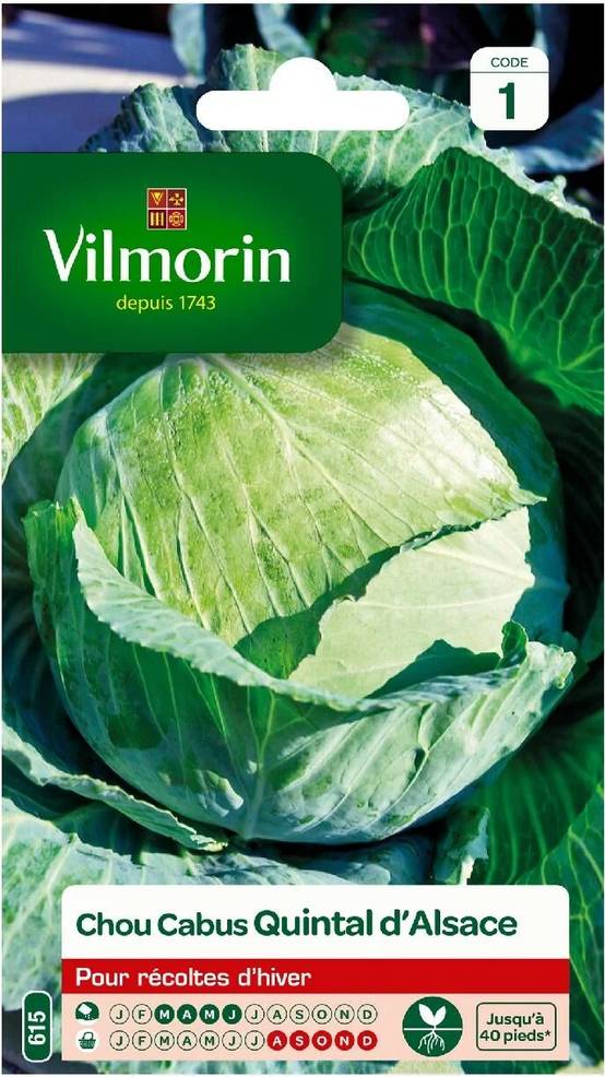 Vilmorin - Chou pommé quintal d'Alsace série 1 sachet graines 2 g - Vilmorin - Image 1