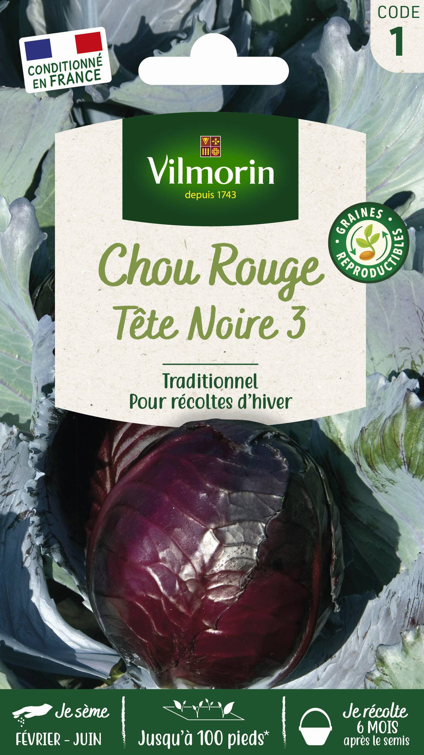 Vilmorin - Chou rouge tête noire 3 série 1 sachet graines 2 g - Vilmorin - Image 3