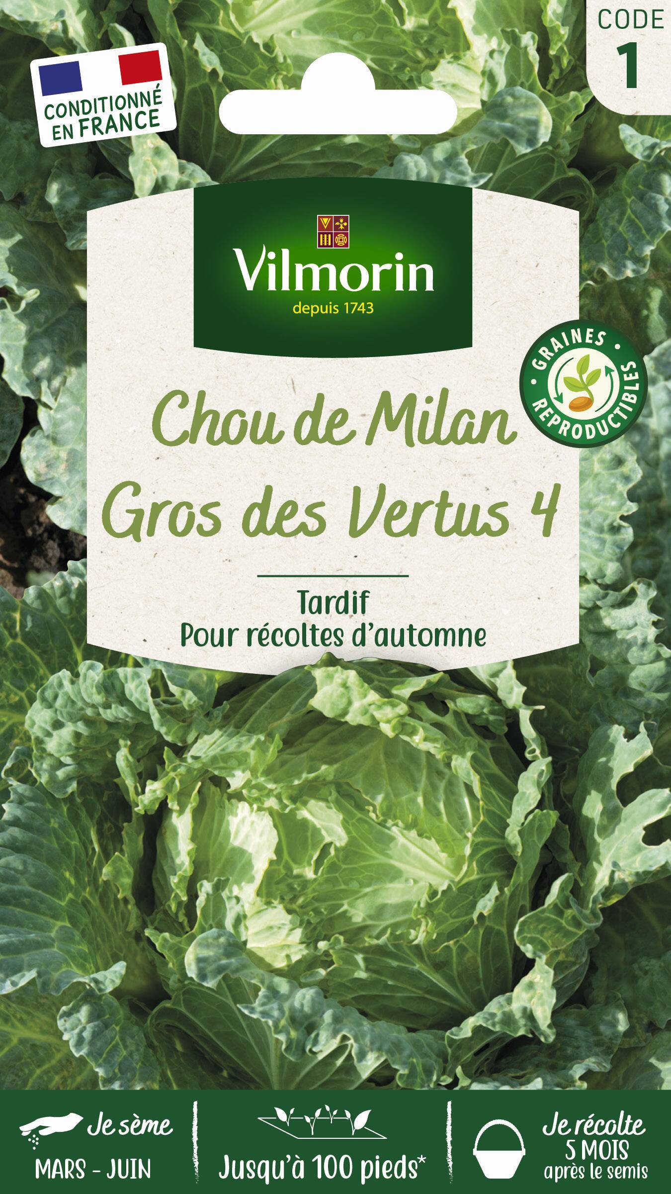 Vilmorin - Chou de Milan gros des vertus série 1 sachet graines 2 g - Vilmorin - Image 2