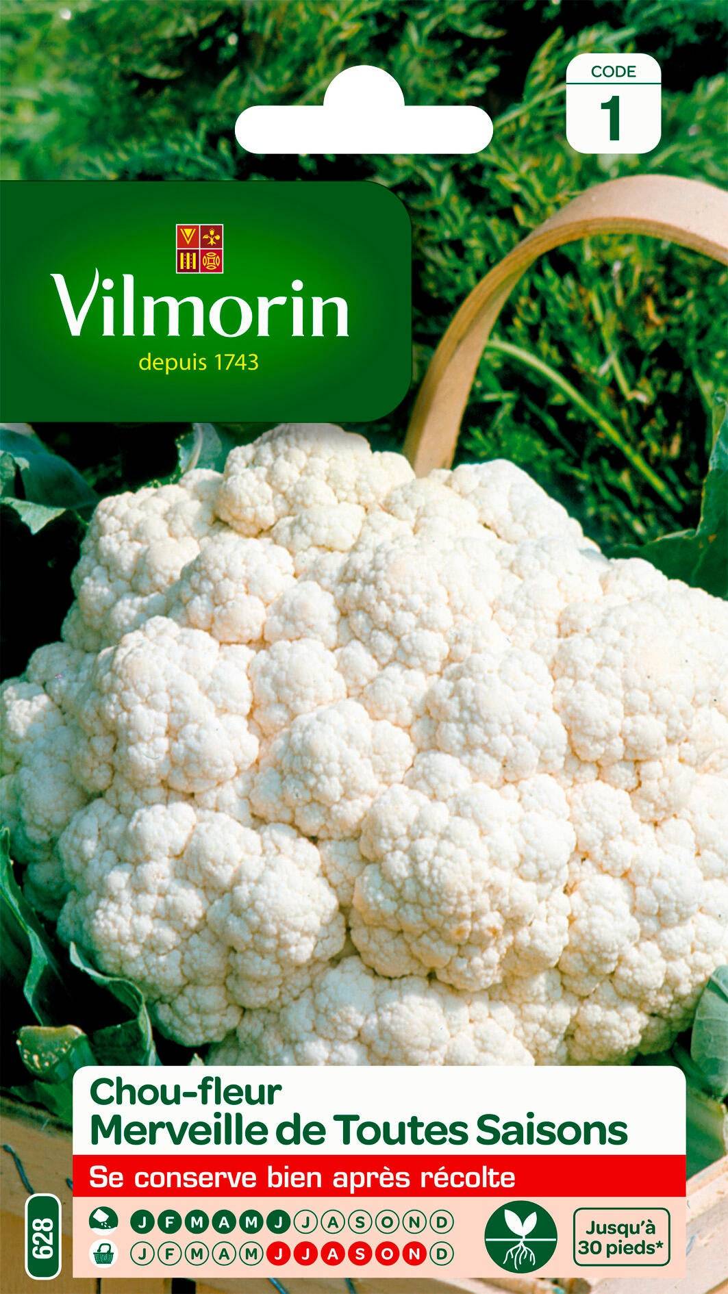 Vilmorin - Chou fleur merveille de toutes saisons série 1 sachet graines 0,8 g - Vilmorin - Image 1