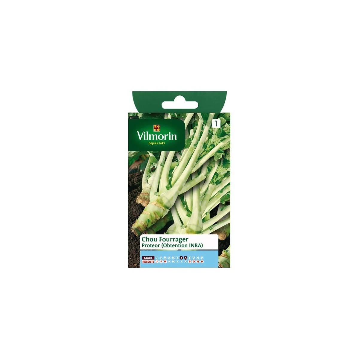 Vilmorin - Chou fourrager proteor obtention Inra série 1 sachet graines 10 g - Vilmorin - Image 1