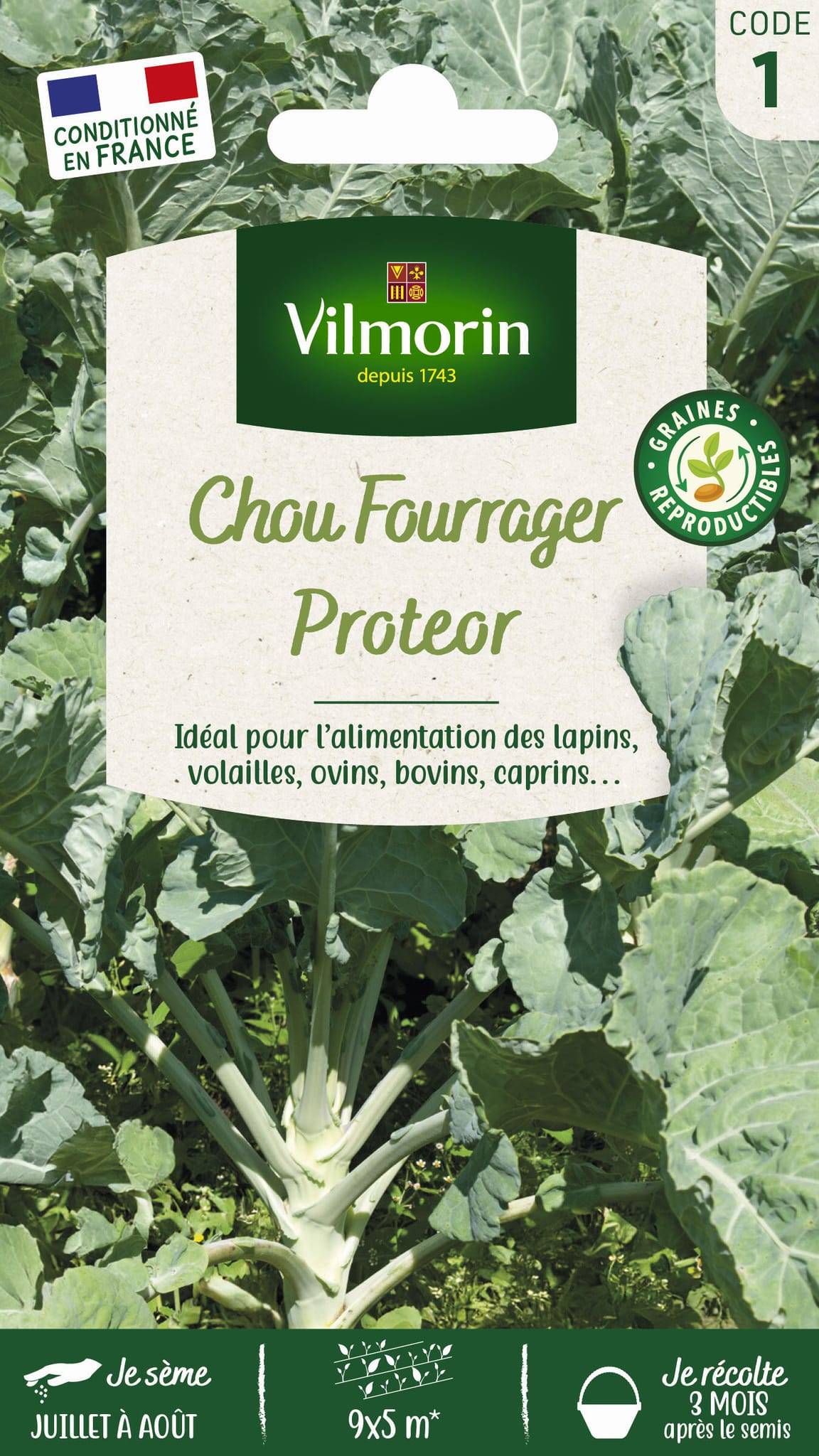 Vilmorin - Chou fourrager proteor obtention Inra série 1 sachet graines 10 g - Vilmorin - Image 2