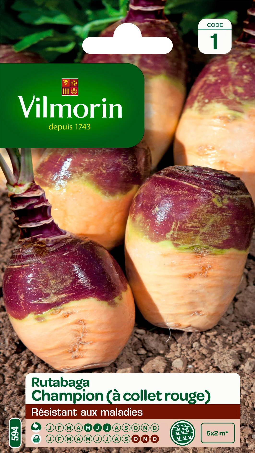 Vilmorin - Rutabaga Champion serie 1 sachet graines 10 g - Vilmorin - Image 1
