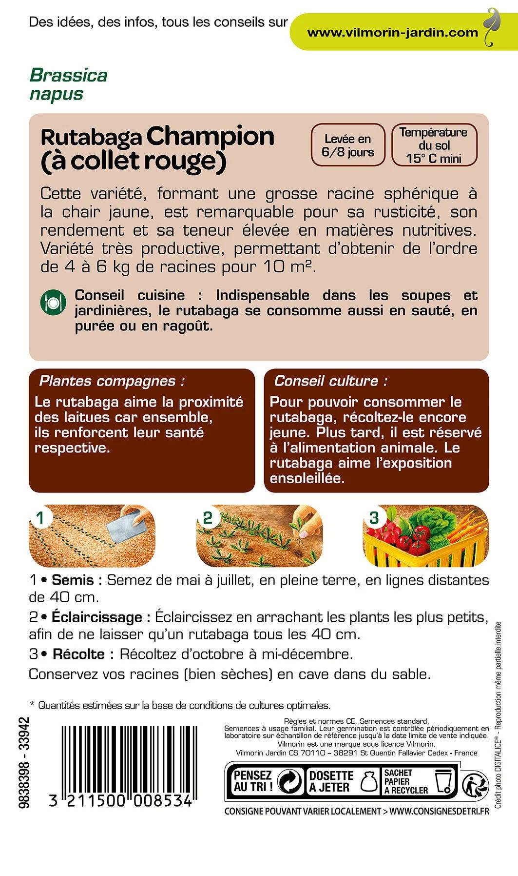 Vilmorin - Rutabaga Champion serie 1 sachet graines 10 g - Vilmorin - Image 2