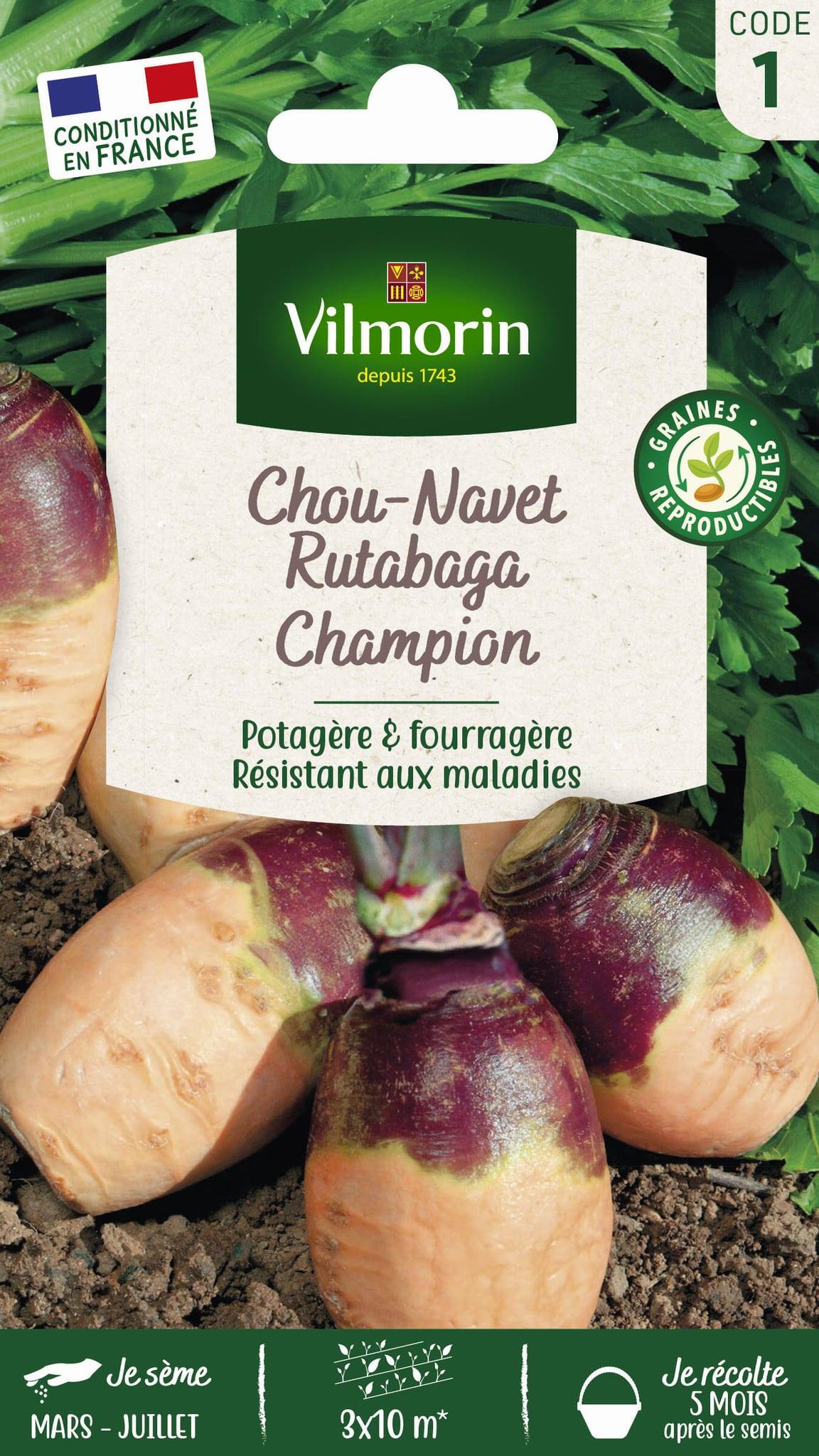 Vilmorin - Rutabaga Champion serie 1 sachet graines 10 g - Vilmorin - Image 3