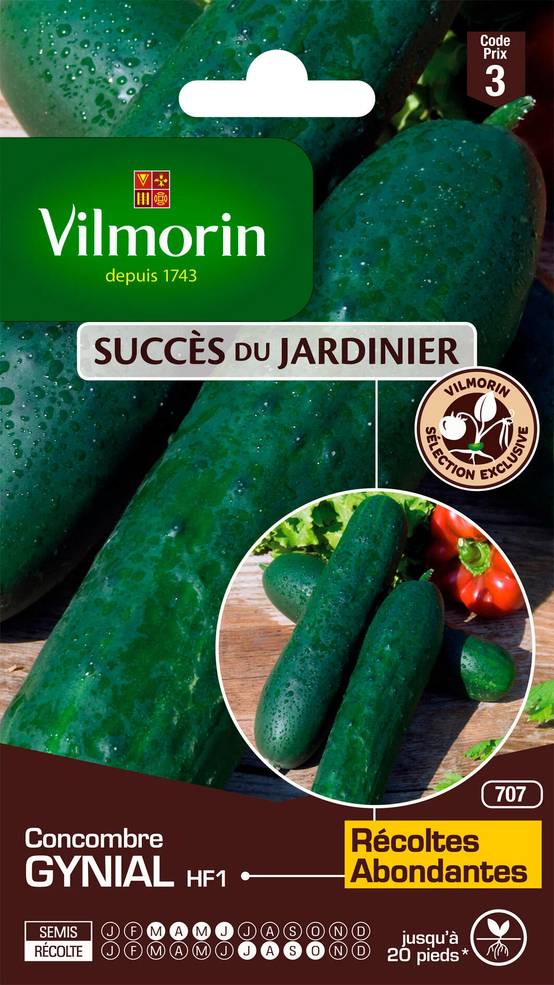 Vilmorin - Concombre Gynial HF1 serie 3 sachet graines 1 g - Vilmorin - Image 1