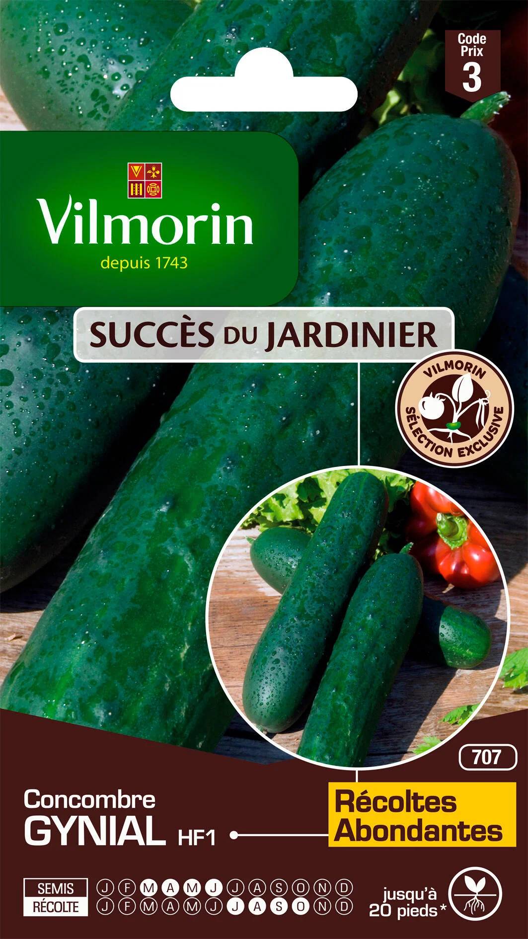 Vilmorin - Concombre Gynial HF1 serie 3 sachet graines 1 g - Vilmorin - Image 1