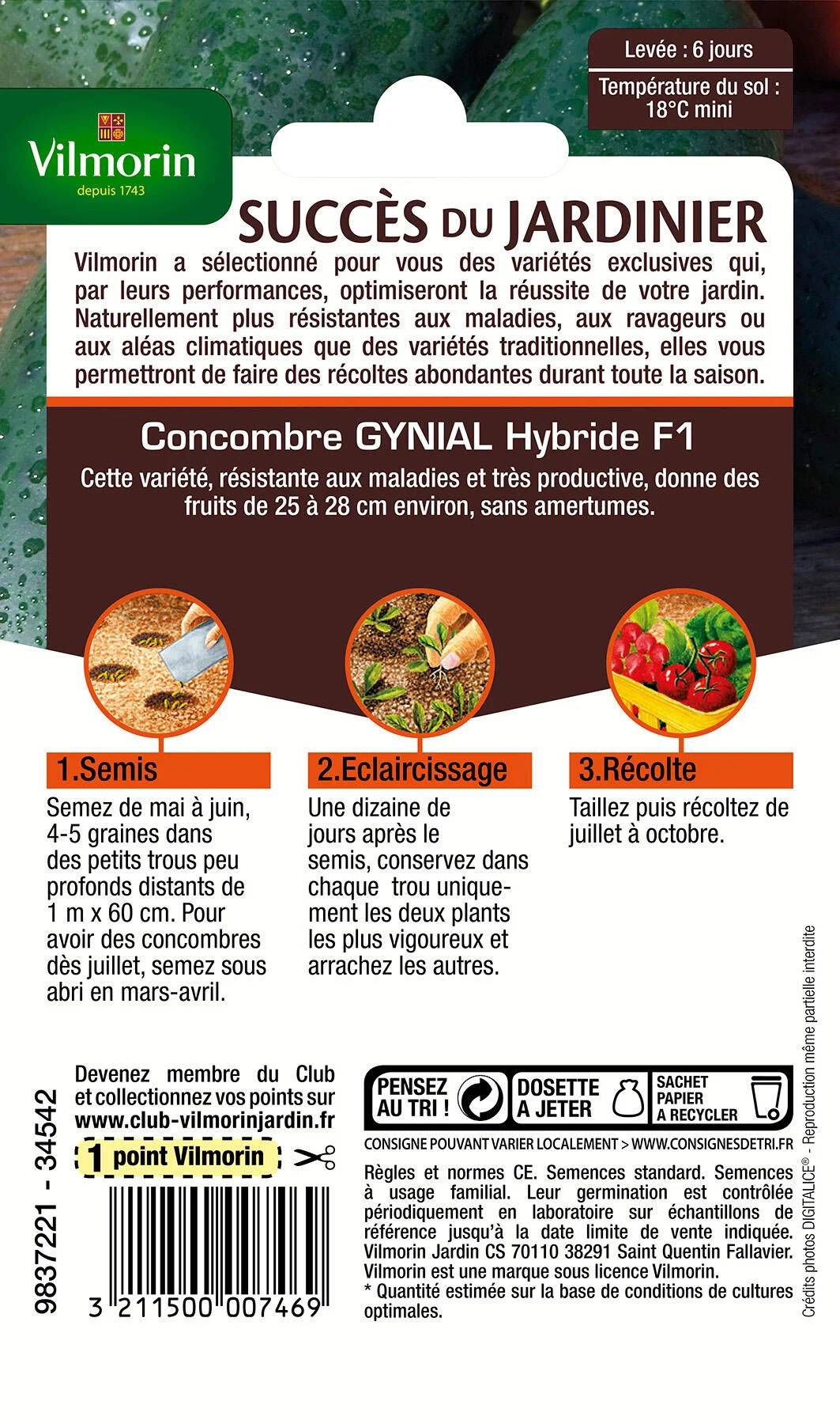 Vilmorin - Concombre Gynial HF1 serie 3 sachet graines 1 g - Vilmorin - Image 3