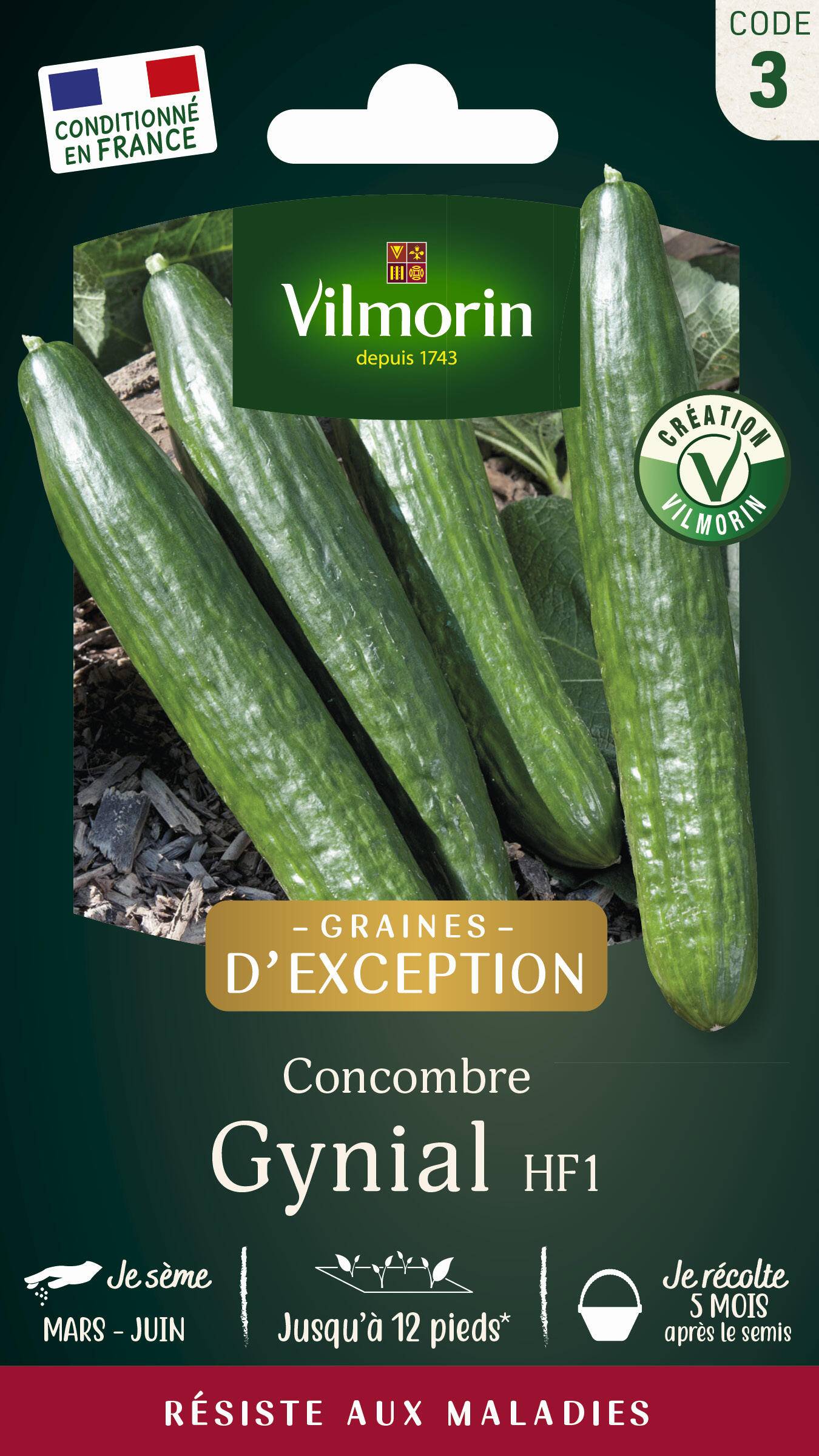 Vilmorin - Concombre Gynial HF1 serie 3 sachet graines 1 g - Vilmorin - Image 2