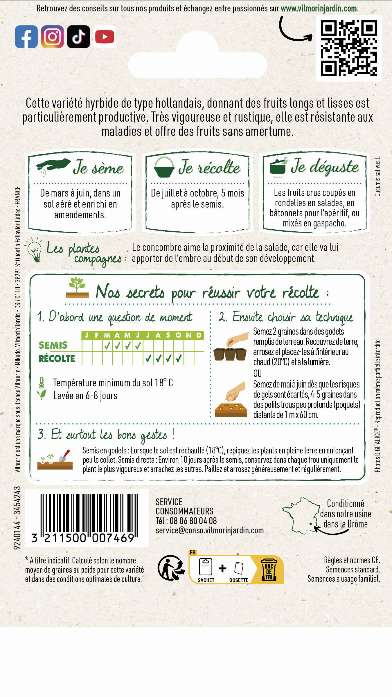 Vilmorin - Concombre Gynial HF1 serie 3 sachet graines 1 g - Vilmorin - Image 4