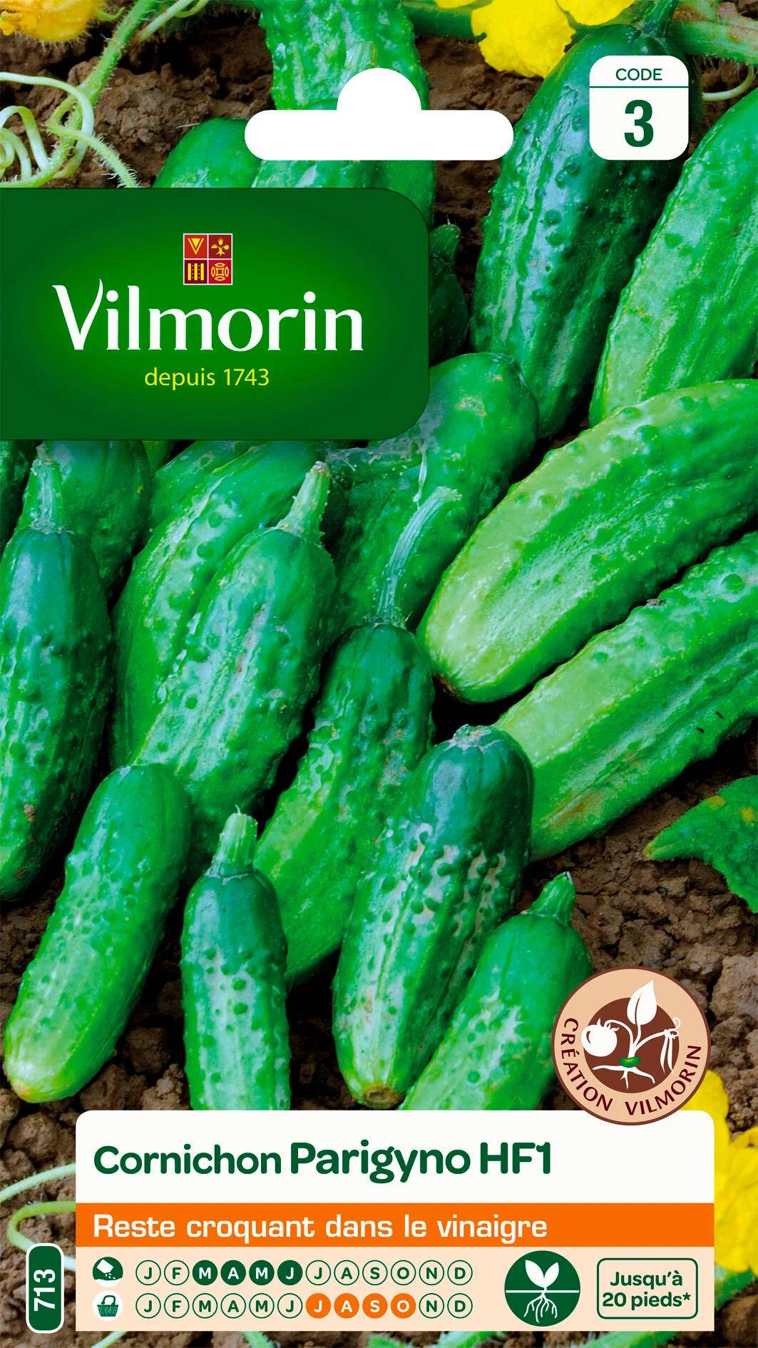 Vilmorin - Cornichon Parigyno HF1 serie 3 sachet graines 2 g - Vilmorin - Image 2