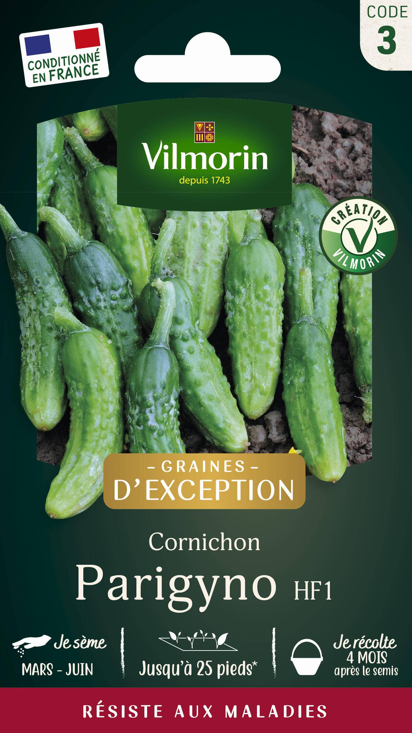 Vilmorin - Cornichon Parigyno HF1 serie 3 sachet graines 2 g - Vilmorin - Image 1