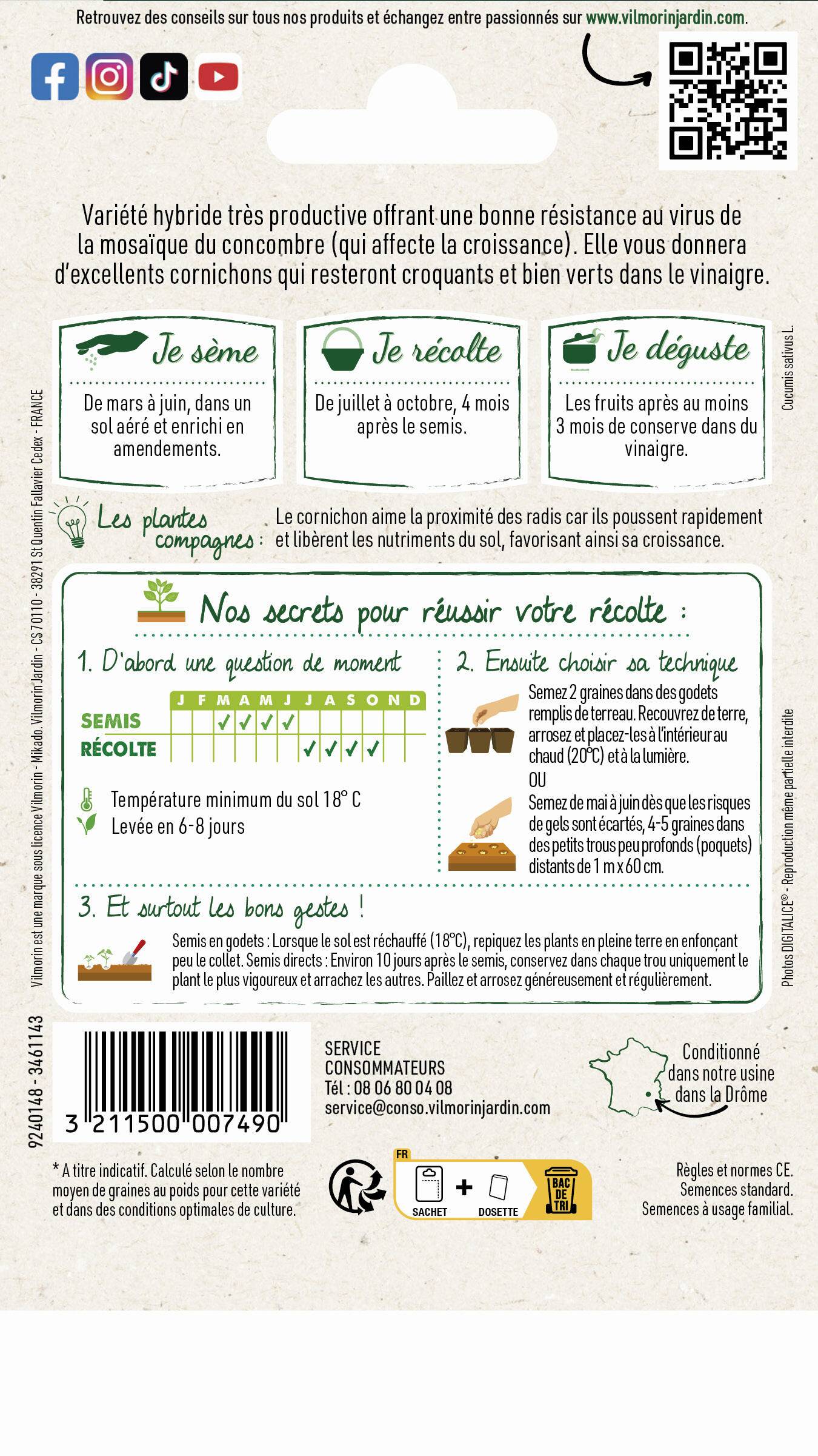 Vilmorin - Cornichon Parigyno HF1 serie 3 sachet graines 2 g - Vilmorin - Image 3