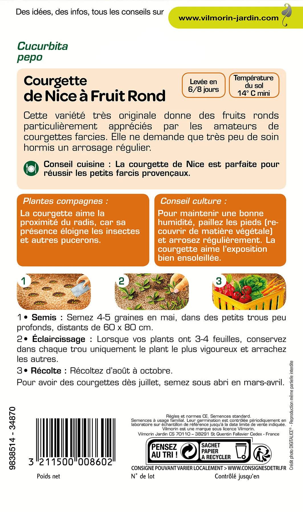 Vilmorin - Courgette de Nice a fruit rond série 1 sachet graines 5 g - Vilmorin - Image 2