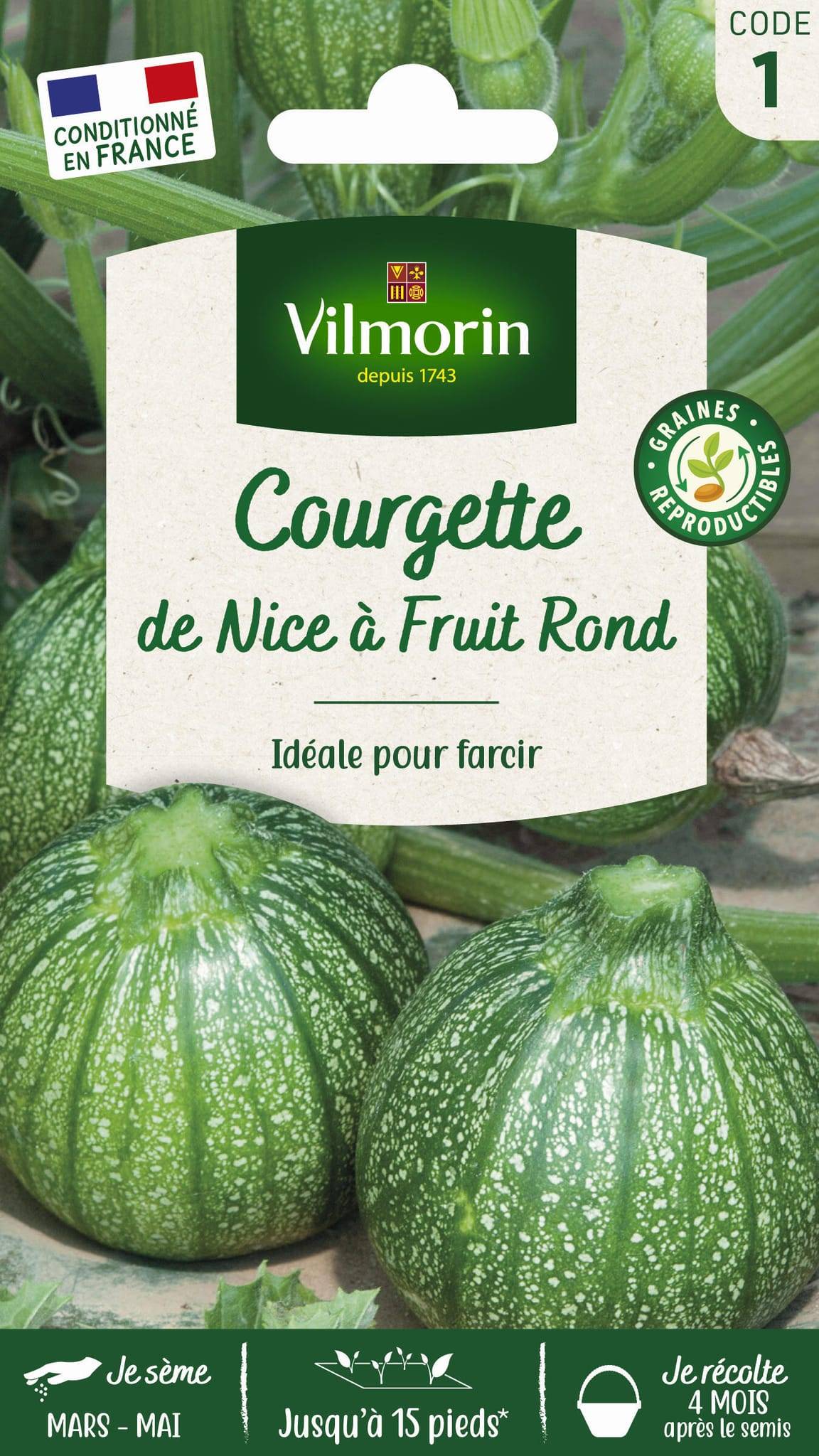 Vilmorin - Courgette de Nice a fruit rond série 1 sachet graines 5 g - Vilmorin - Image 3
