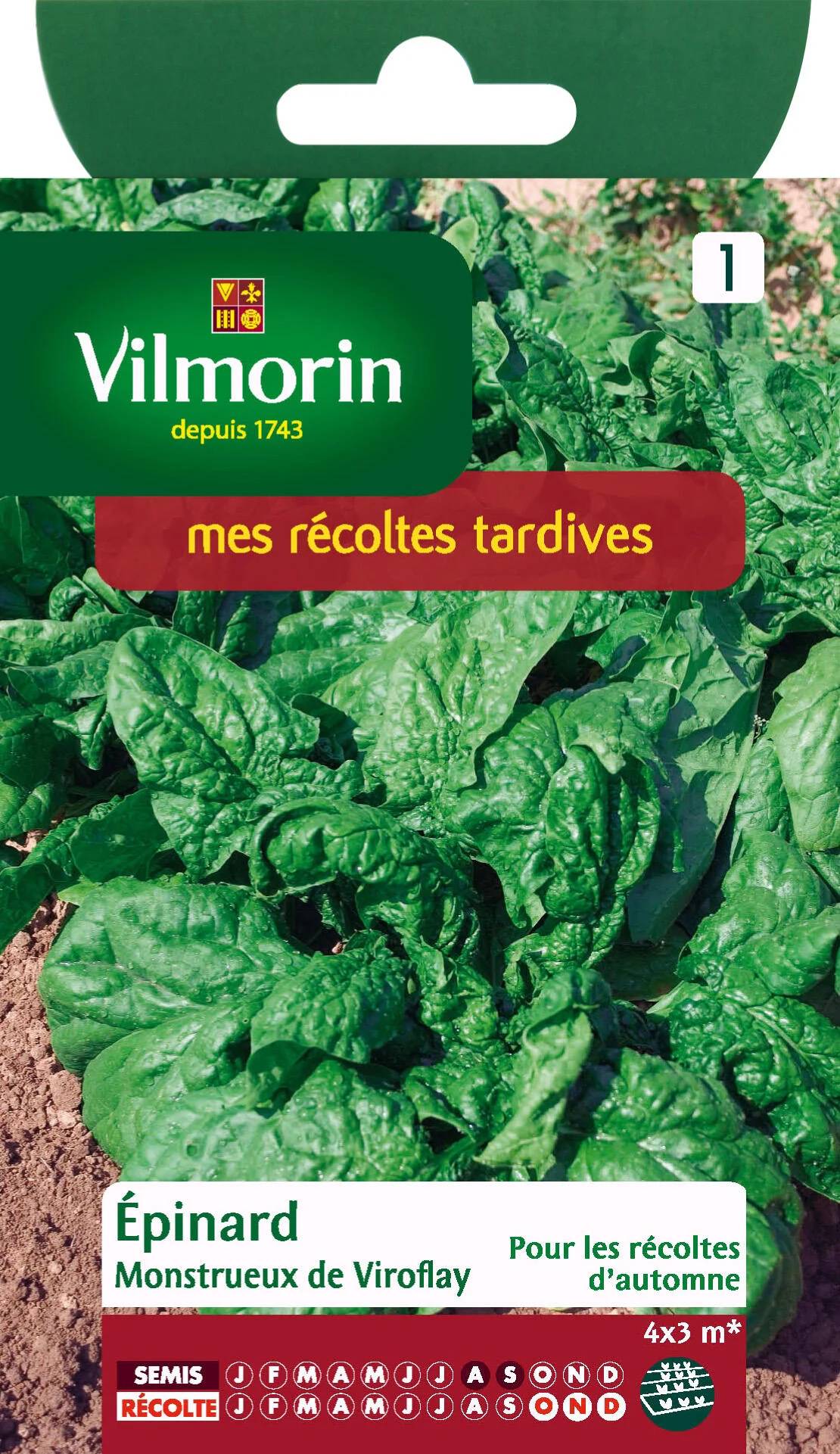 Vilmorin - Epinard monstrueux de Viroflay série 1 sachet graines 15 g - Vilmorin