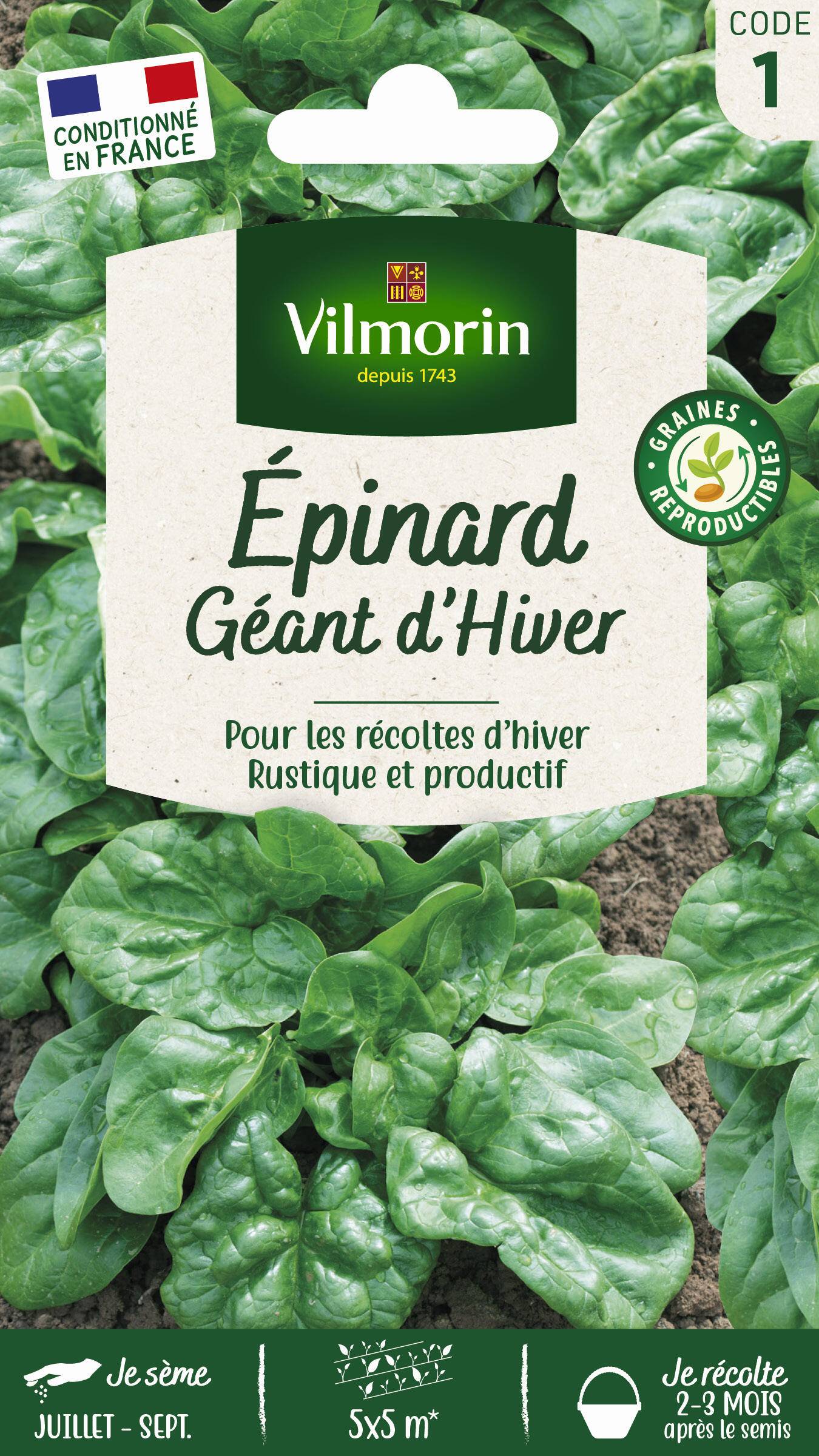 Vilmorin - Epinard géant d'hiver série 1 sachet graines 15 g - Vilmorin - Image 2