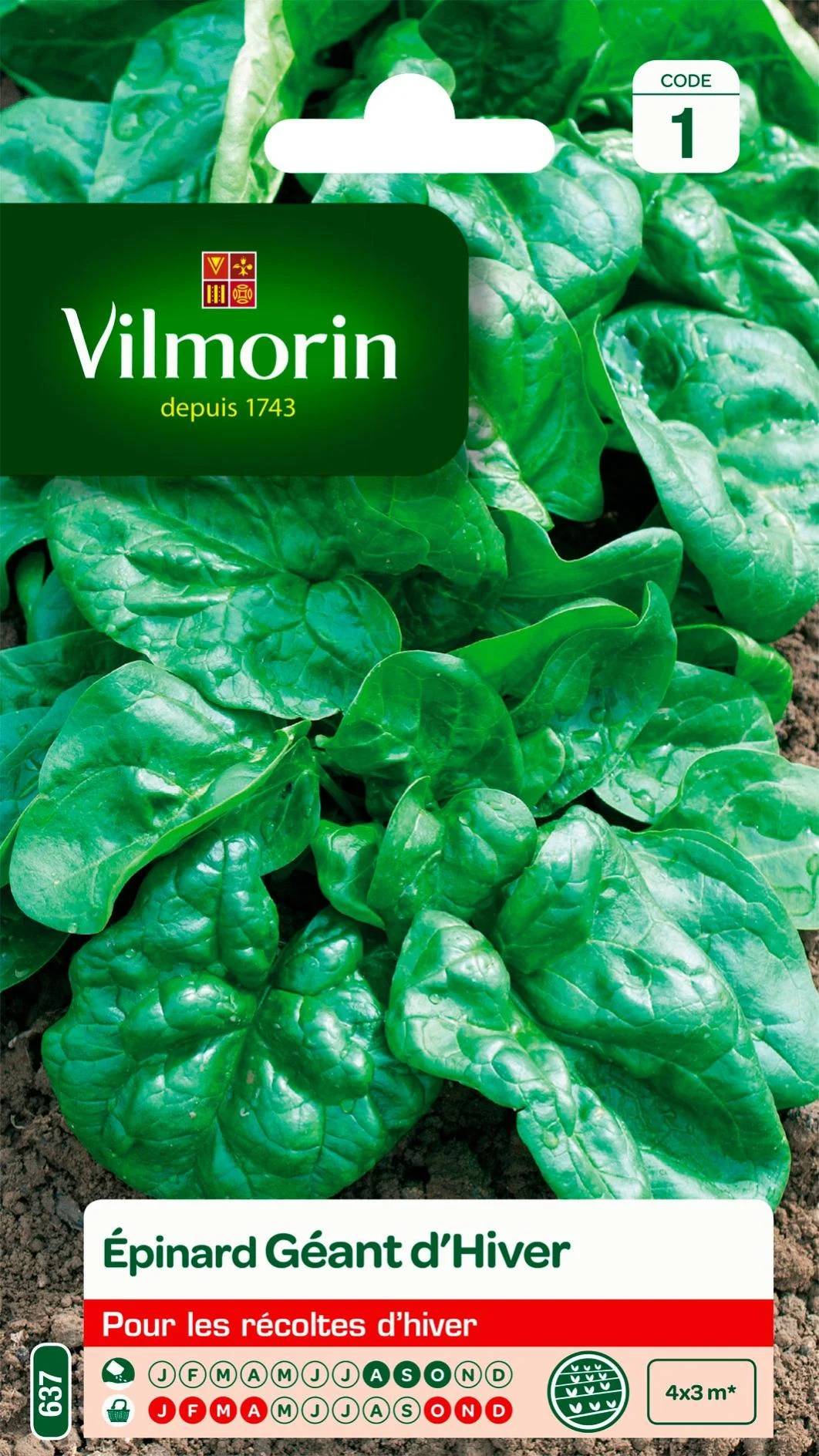 Vilmorin - Epinard géant d'hiver série 1 sachet graines 15 g - Vilmorin