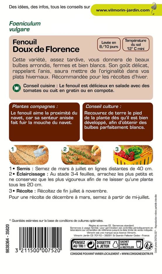 Vilmorin - Fenouil groupe azoricum doux de florence série 1 sachet graines 5 g - Vilmorin - Image 2