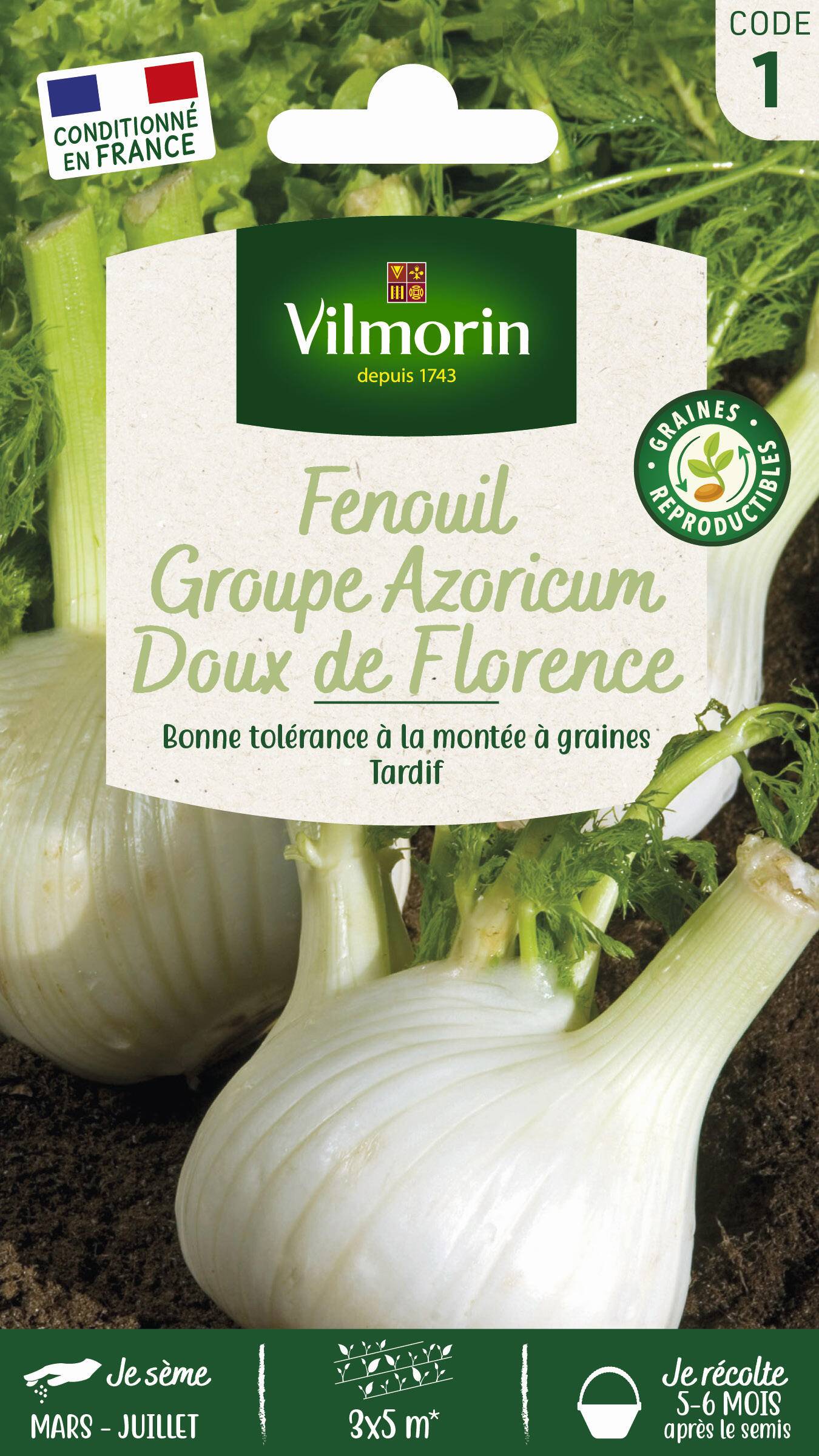 Vilmorin - Fenouil groupe azoricum doux de florence série 1 sachet graines 5 g - Vilmorin - Image 3