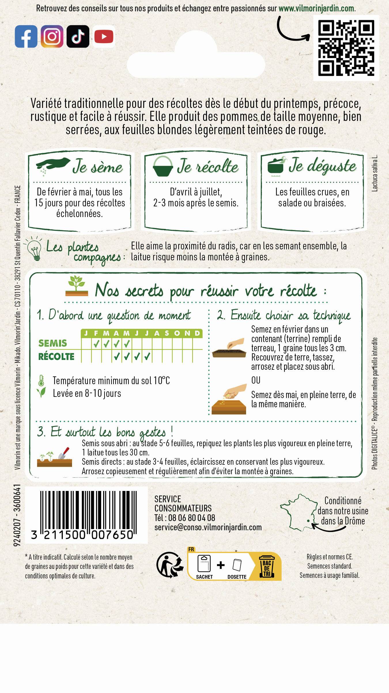 Vilmorin - Laitue pommée reine de mai de pleine terre série 1 sachet graines 4 g - Vilmorin - Image 4