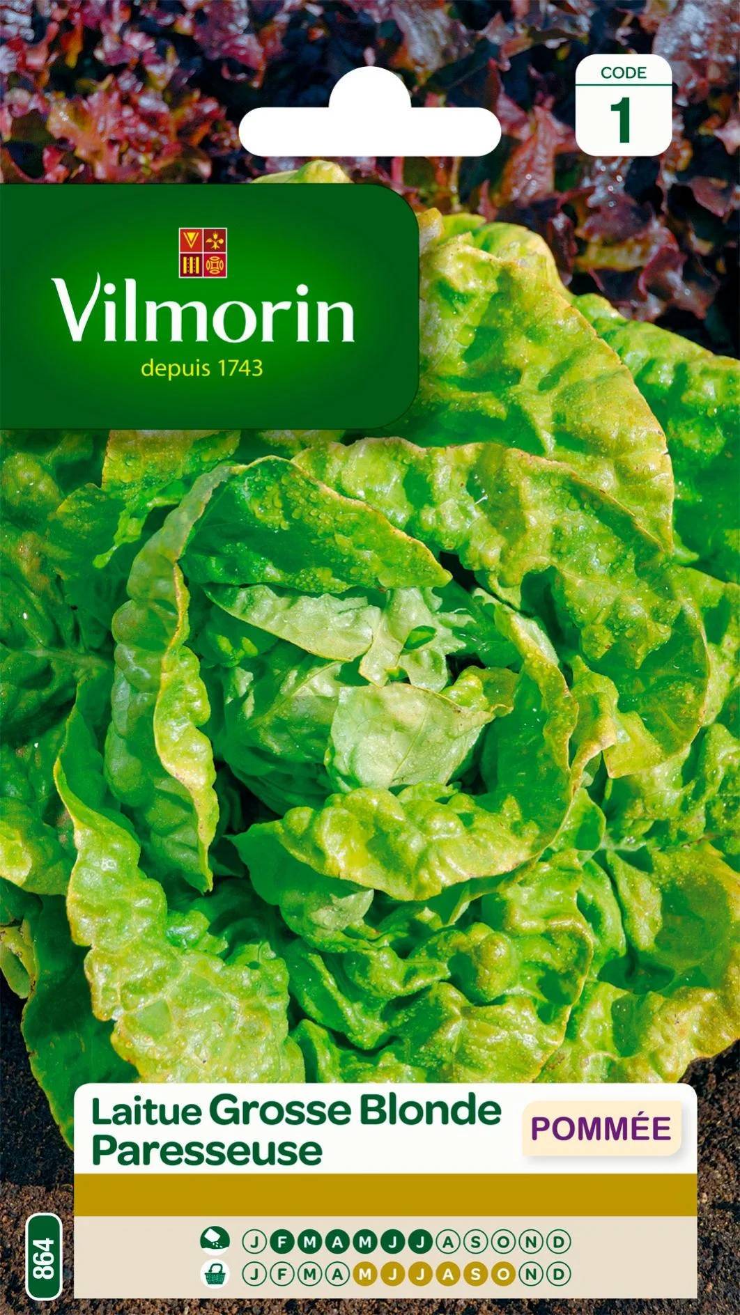 Vilmorin - Laitue pommée grosse blonde paresseuse série 1 sachet graines 4 g - Vilmorin