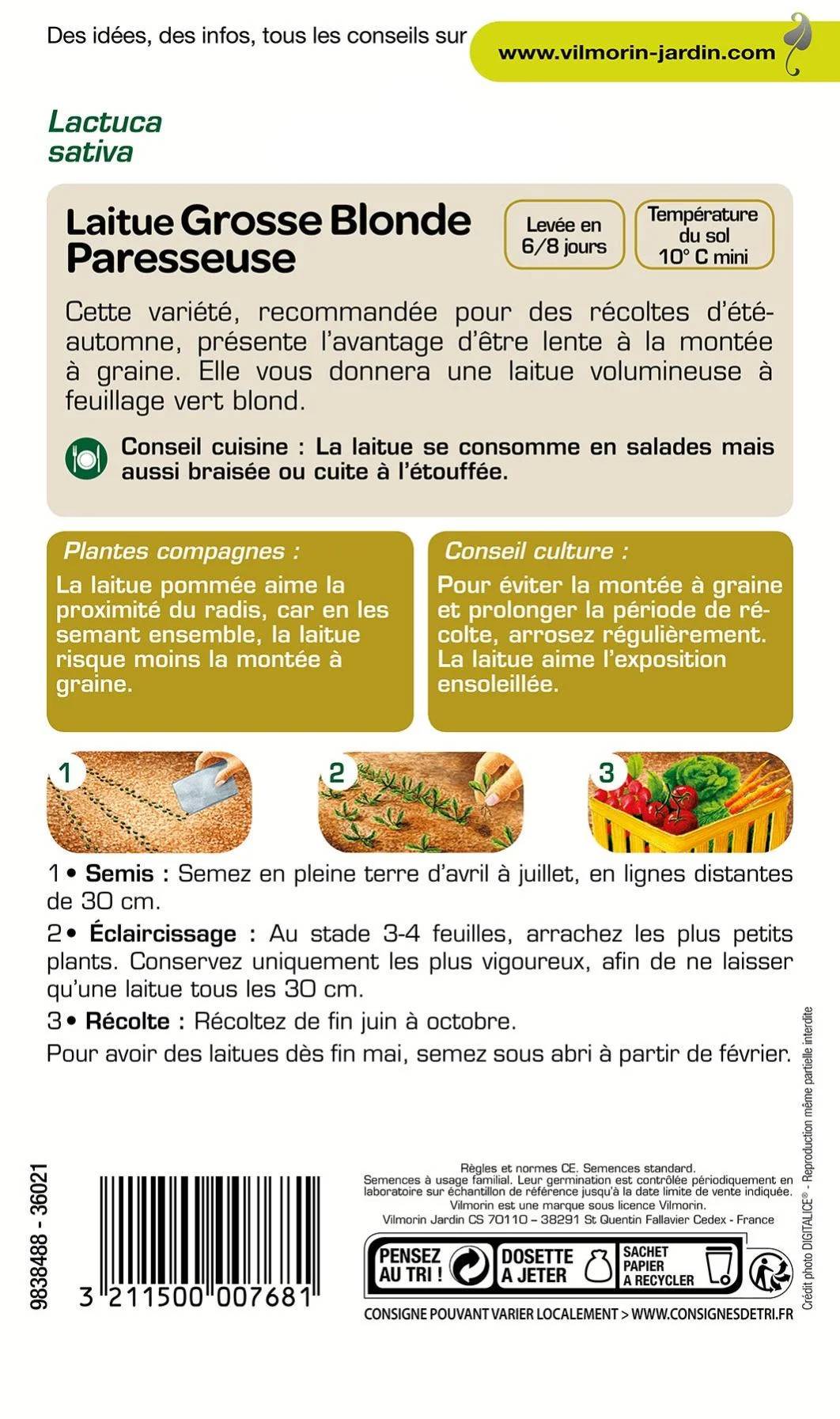 Vilmorin - Laitue pommée grosse blonde paresseuse série 1 sachet graines 4 g - Vilmorin - Image 3
