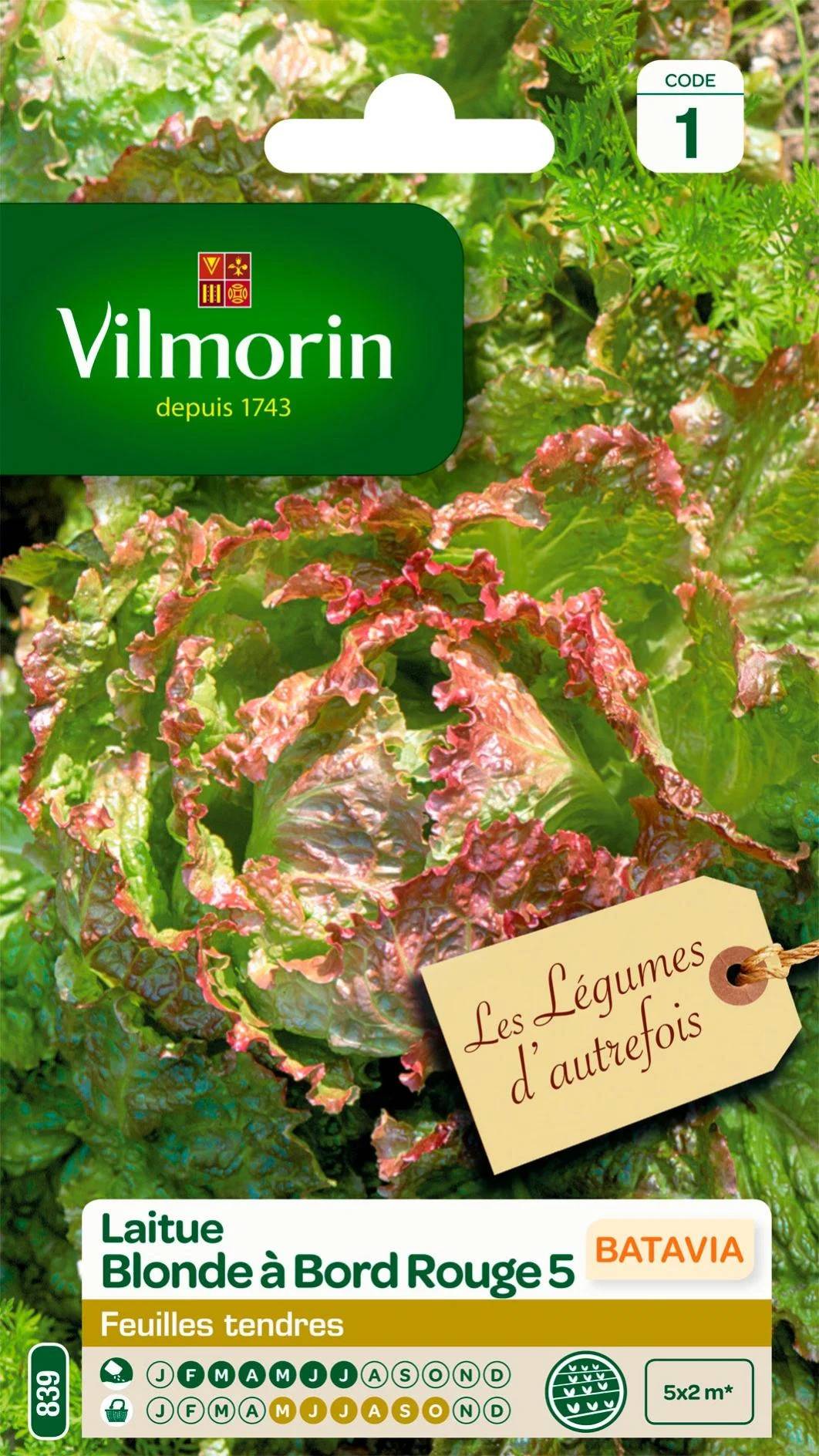 Vilmorin - Laitue Batavia Blonde à Bord Rouge 5 serie 1 sachet graines 4 g - Vilmorin