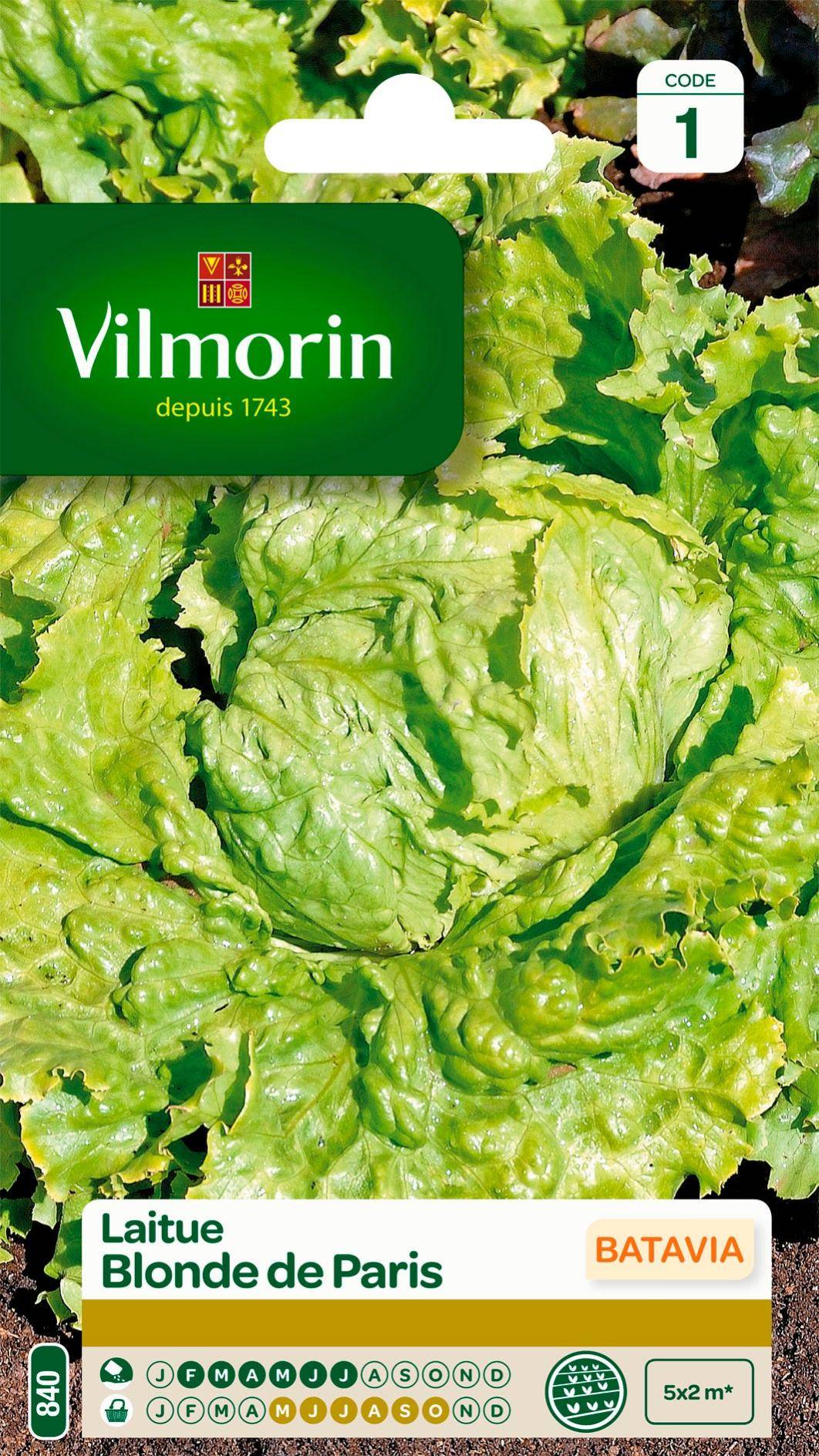 Vilmorin - Sachet de graines Laitue batavia blonde de Paris - Série 1 - 4 g - VILMORIN