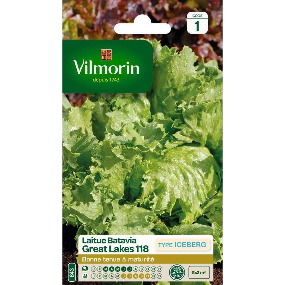 Vilmorin - Laitue batavia Great lakes 118 type iceberg série 1 sachet graines 4 g - Vilmorin - Image 2