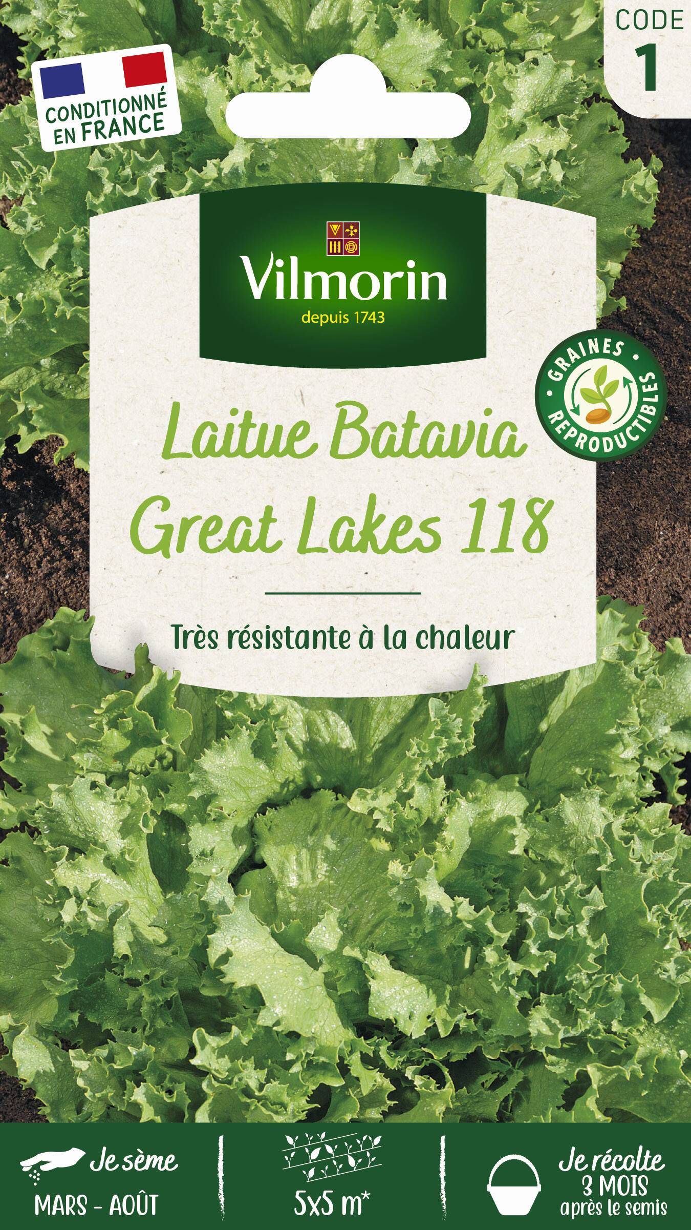 Vilmorin - Laitue batavia Great lakes 118 type iceberg série 1 sachet graines 4 g - Vilmorin - Image 1