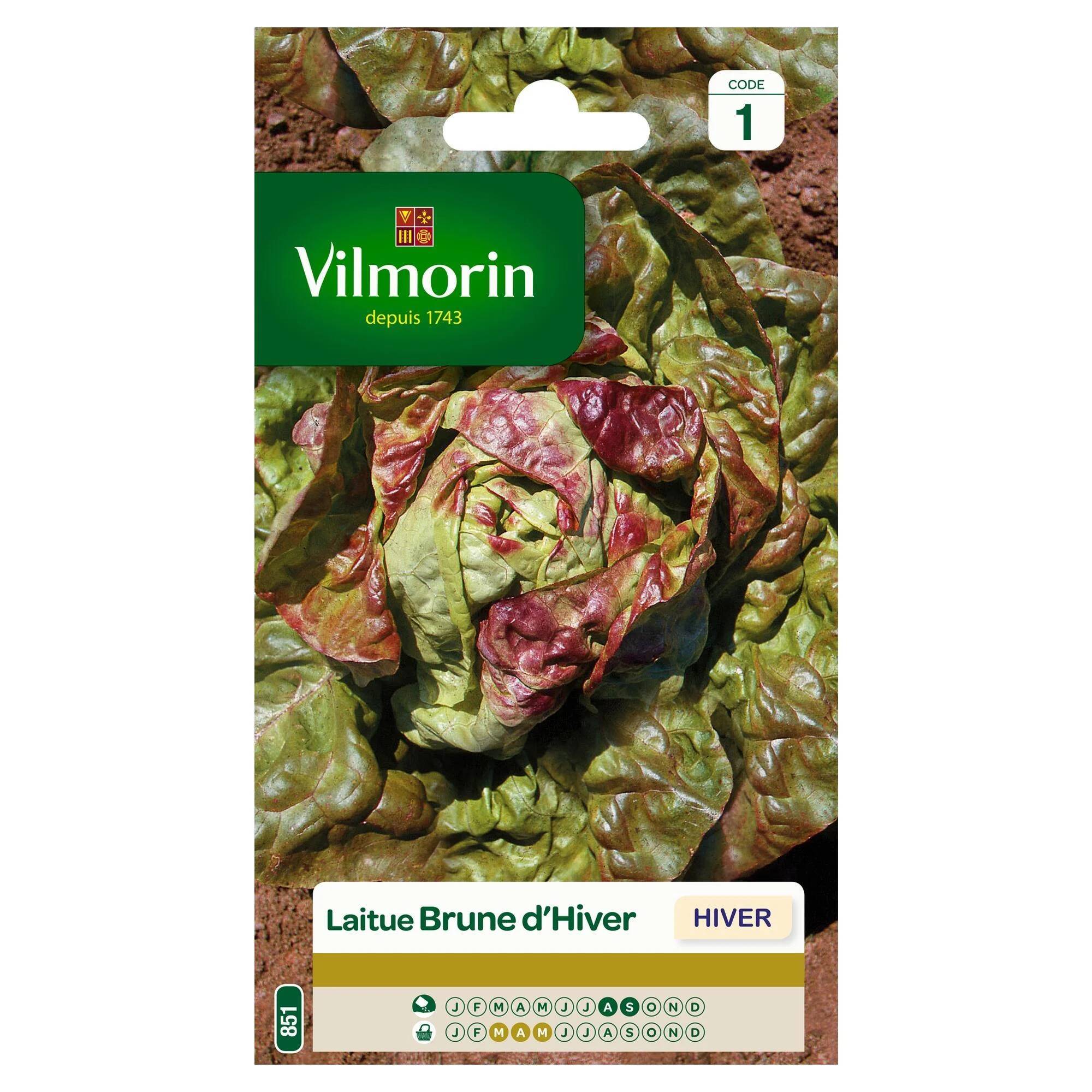 Vilmorin - Laitue d'hiver brune d'hiver série 1 sachet graines 4 g - Vilmorin