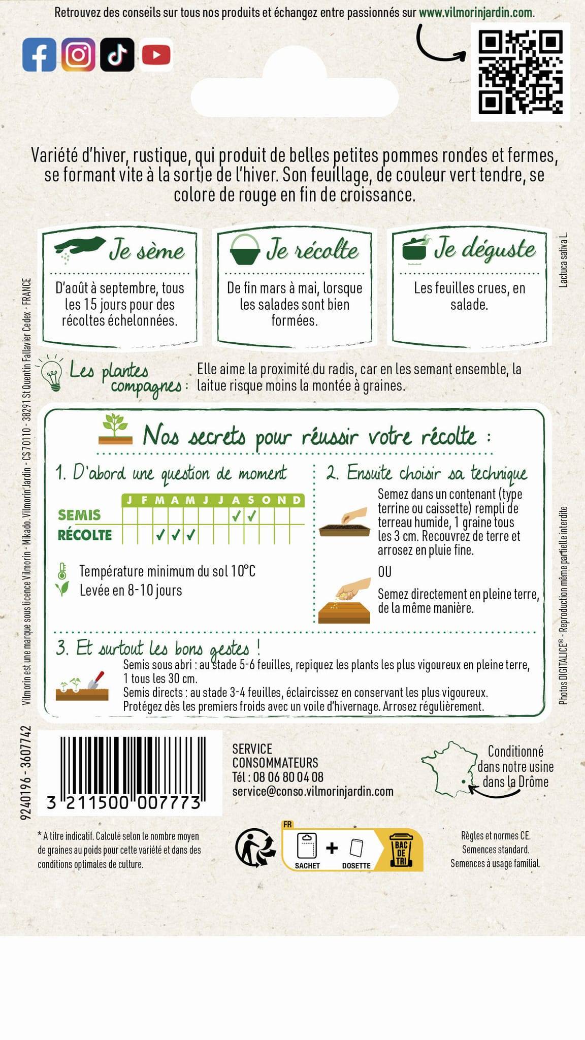 Vilmorin - Laitue d'hiver rougette de Montpellier graines noires série 2 sachet graines 4 g - Vilmorin - Image 2