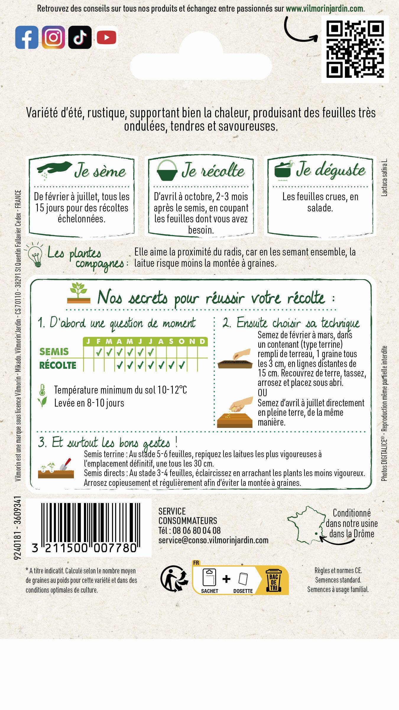 Vilmorin - Laitue à couper feuille de chêne blonde graines noires série 1 sachet graines 4 g - Vilmorin - Image 2