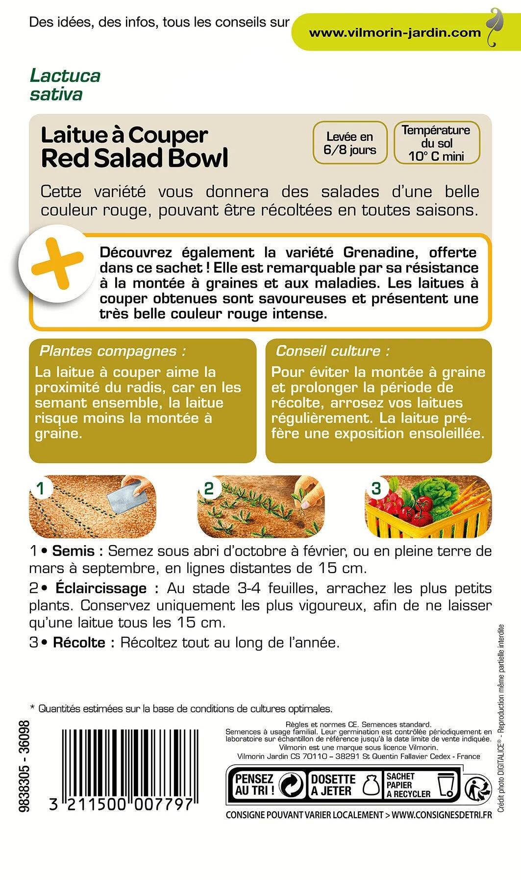 Vilmorin - Laitue a couper red salad bowl  échantillon laitue a couper grenadine série2 sachet graines 4 g - VM - Image 2
