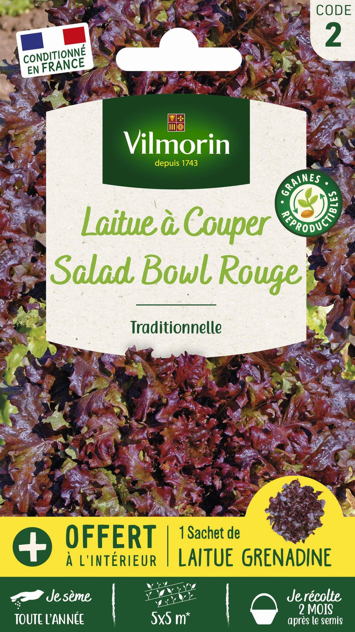 Vilmorin - Laitue a couper red salad bowl  échantillon laitue a couper grenadine série2 sachet graines 4 g - VM - Image 3