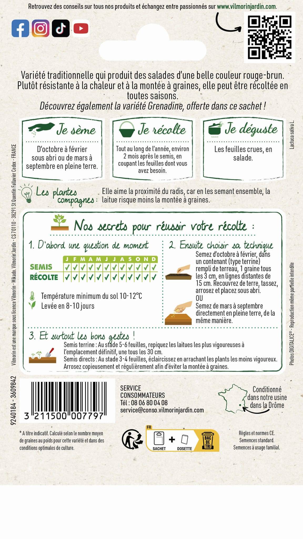 Vilmorin - Laitue a couper red salad bowl  échantillon laitue a couper grenadine série2 sachet graines 4 g - VM - Image 4