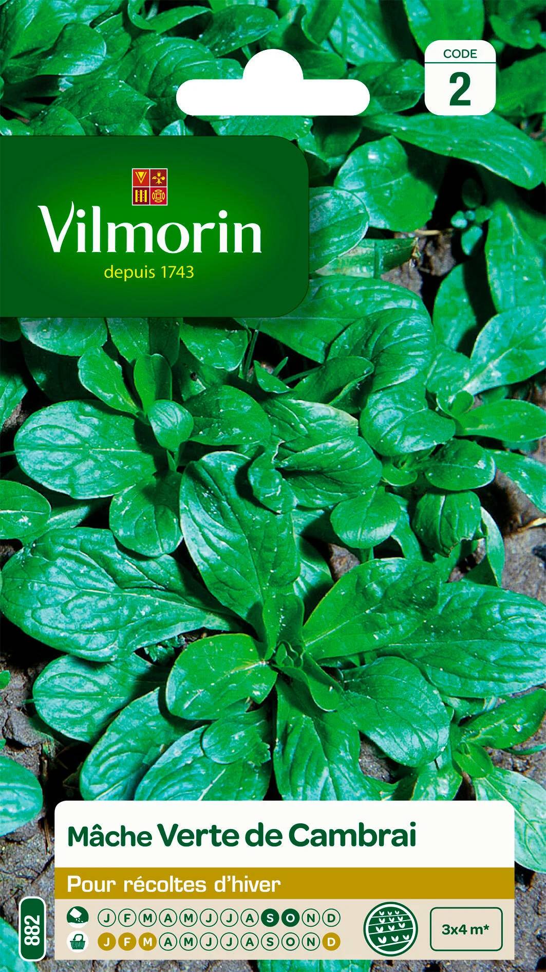 Vilmorin - Mâche verte de Cambrai série 2 sachet graines 3 g - Vilmorin - Image 2