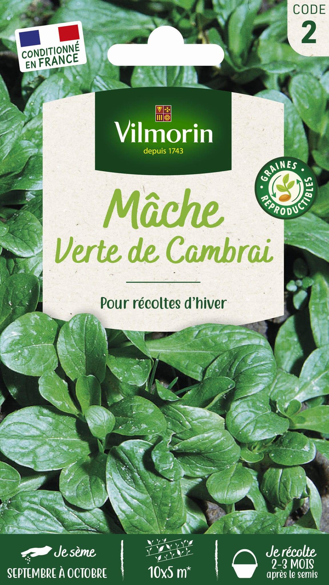 Vilmorin - Mâche verte de Cambrai série 2 sachet graines 3 g - Vilmorin - Image 3