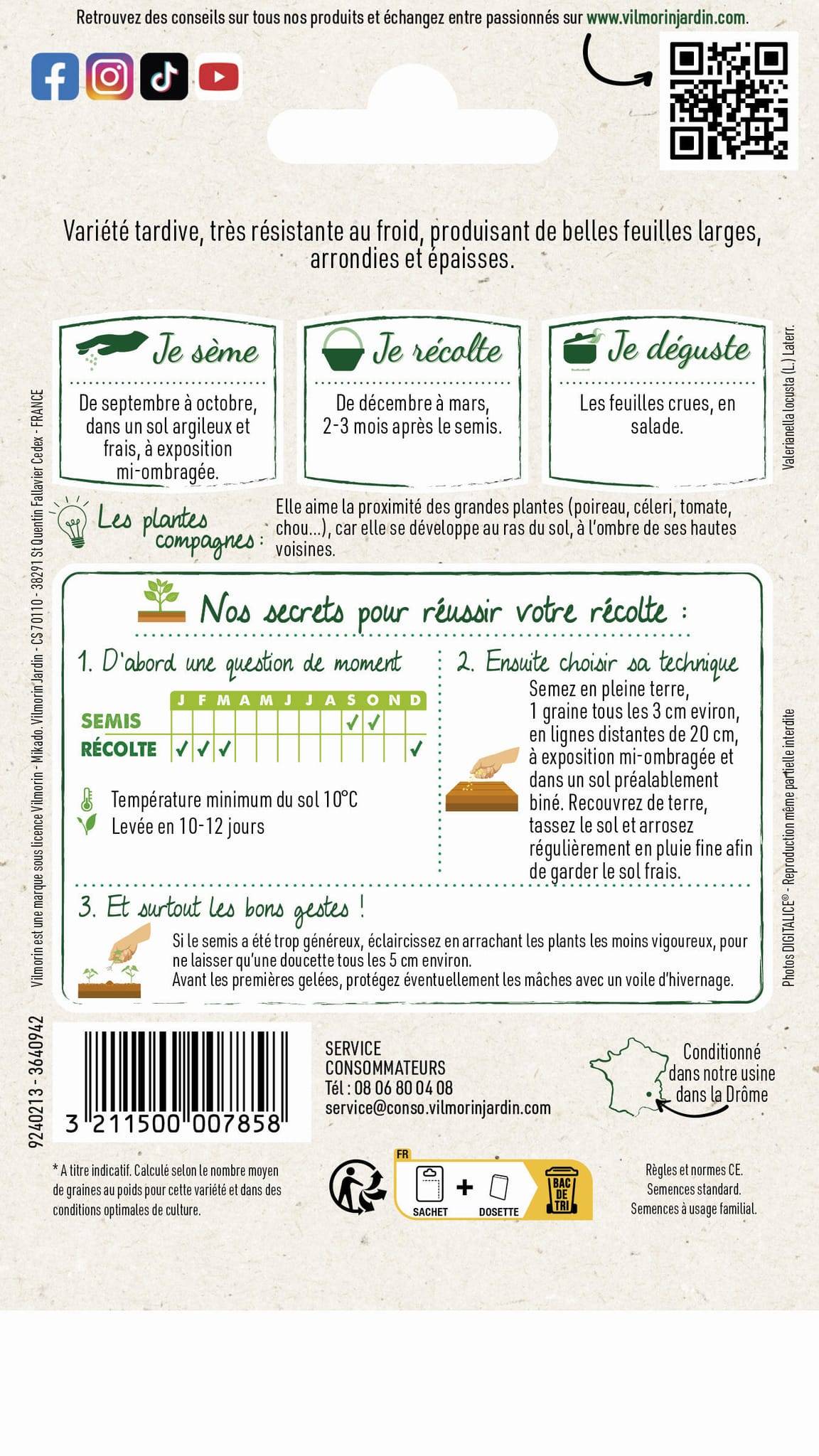 Vilmorin - Mâche verte de Cambrai série 2 sachet graines 3 g - Vilmorin - Image 4